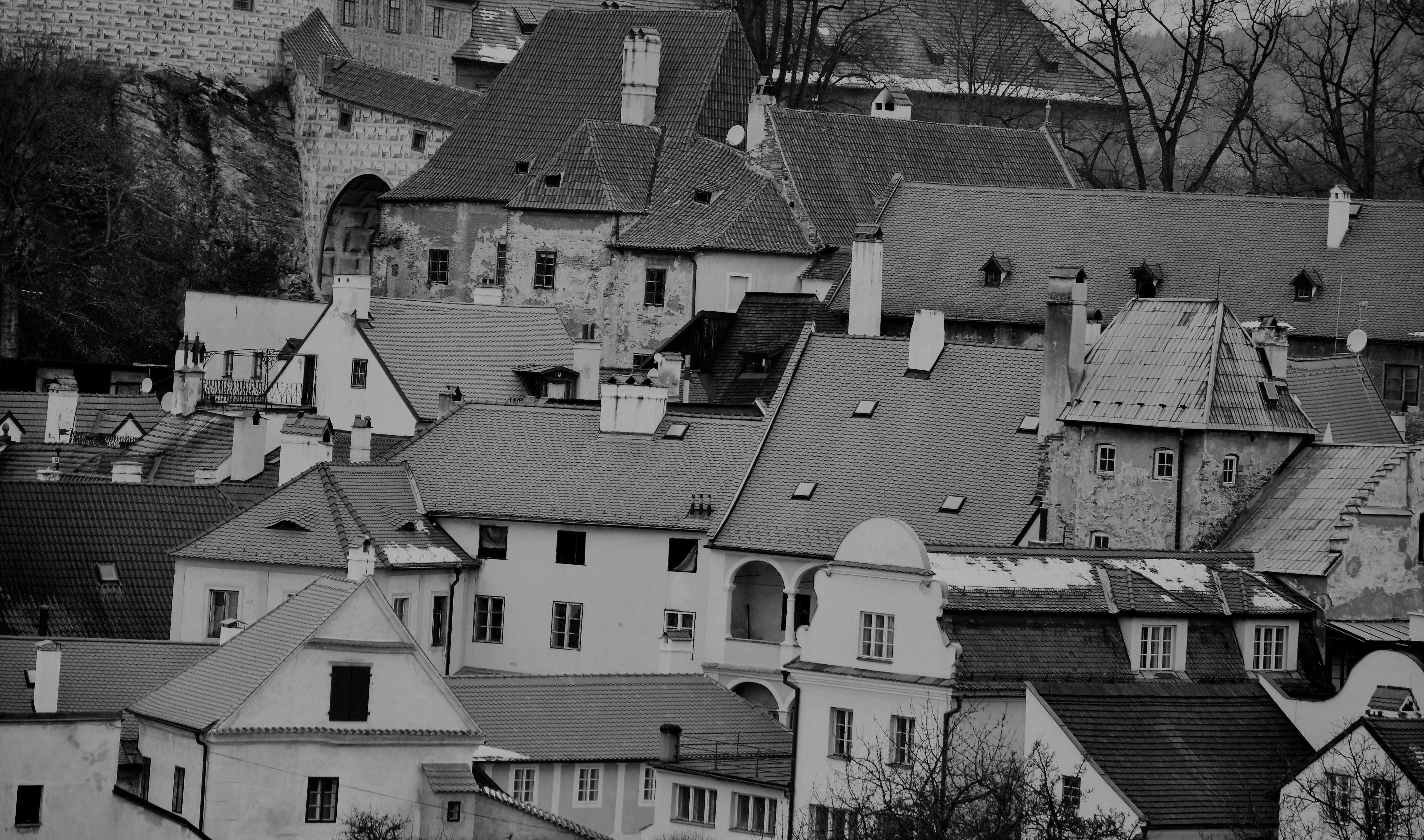 Photo by sabetheodoore