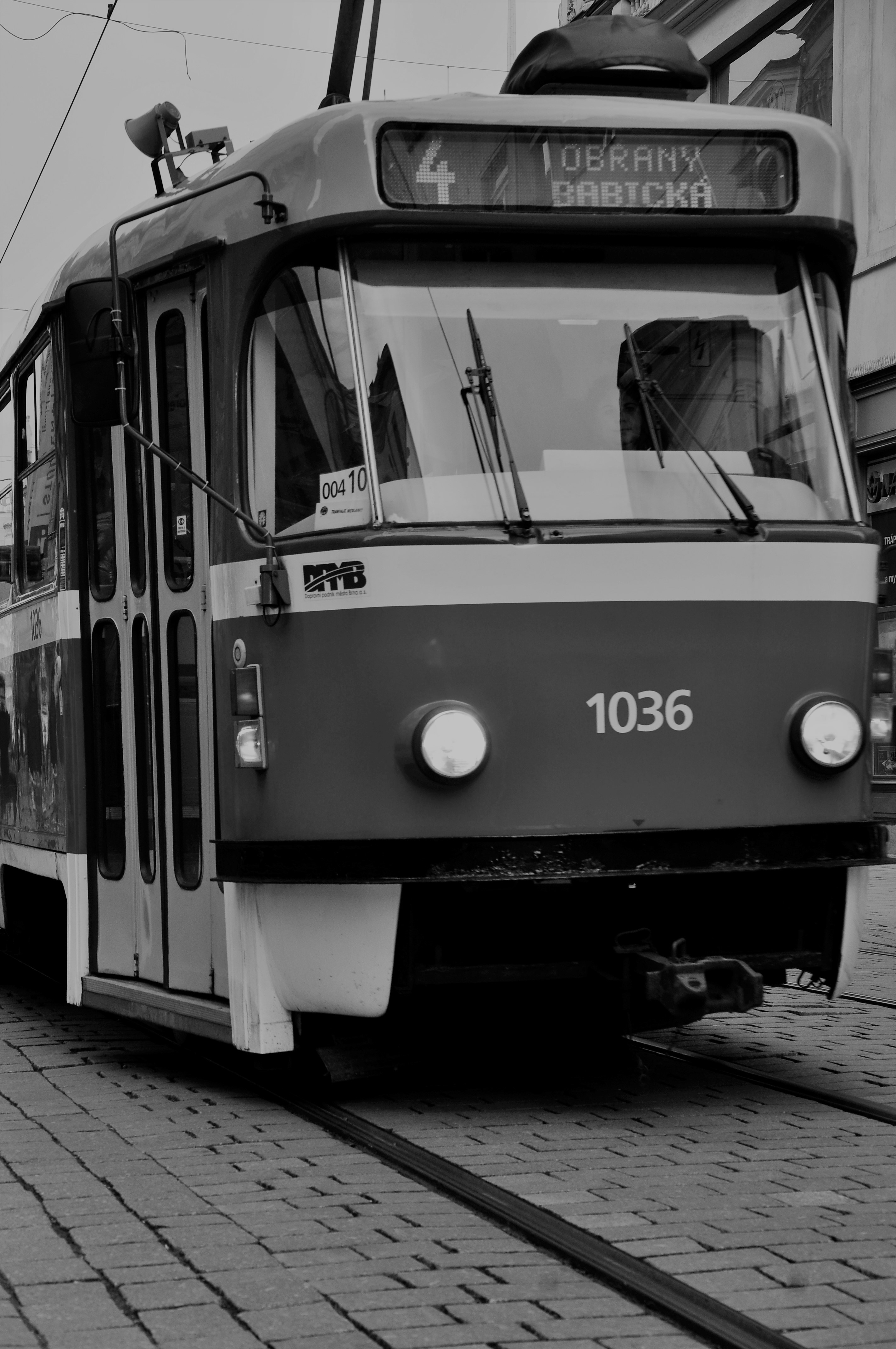 Photo by sabetheodoore