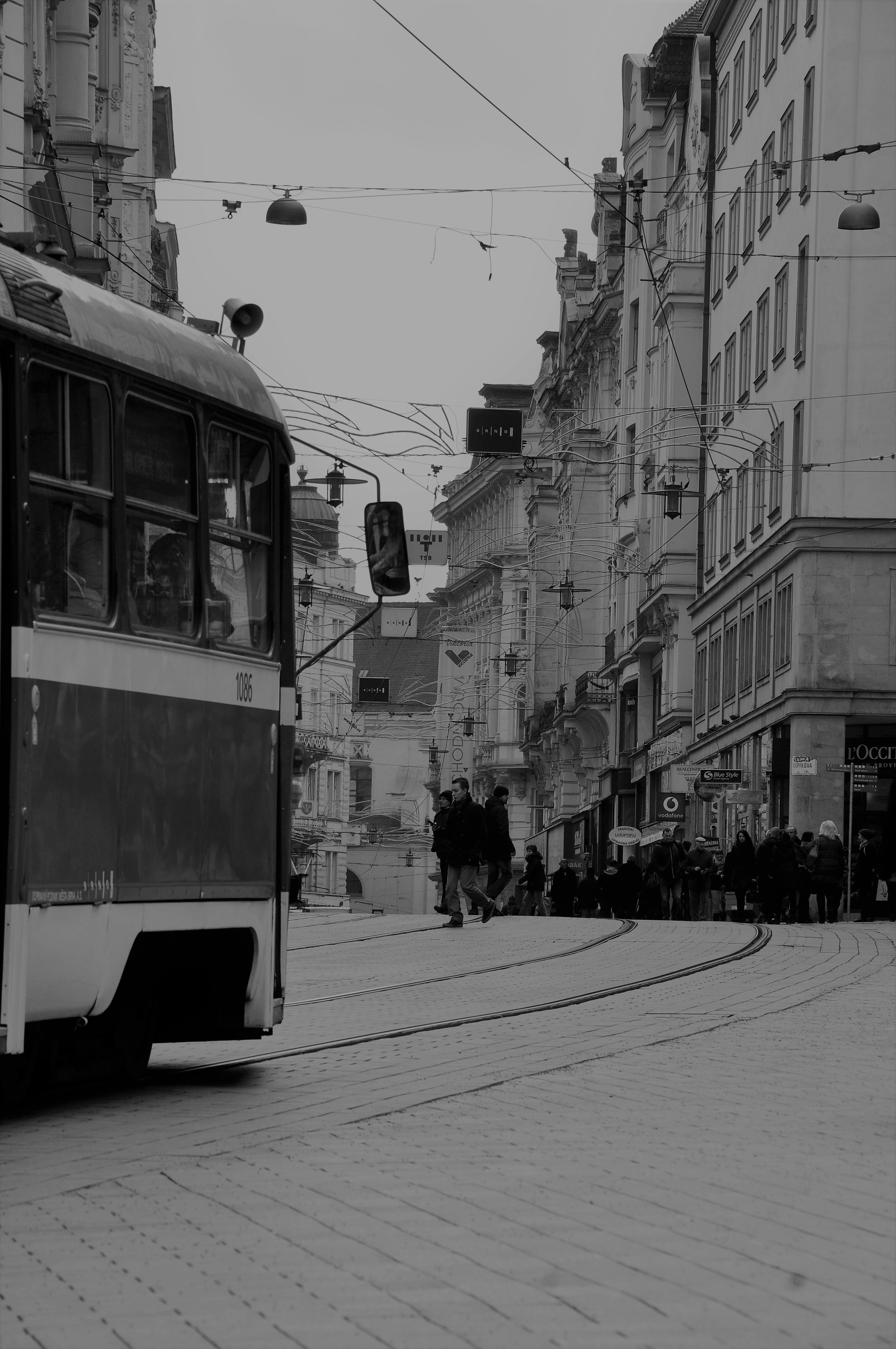 Photo by sabetheodoore