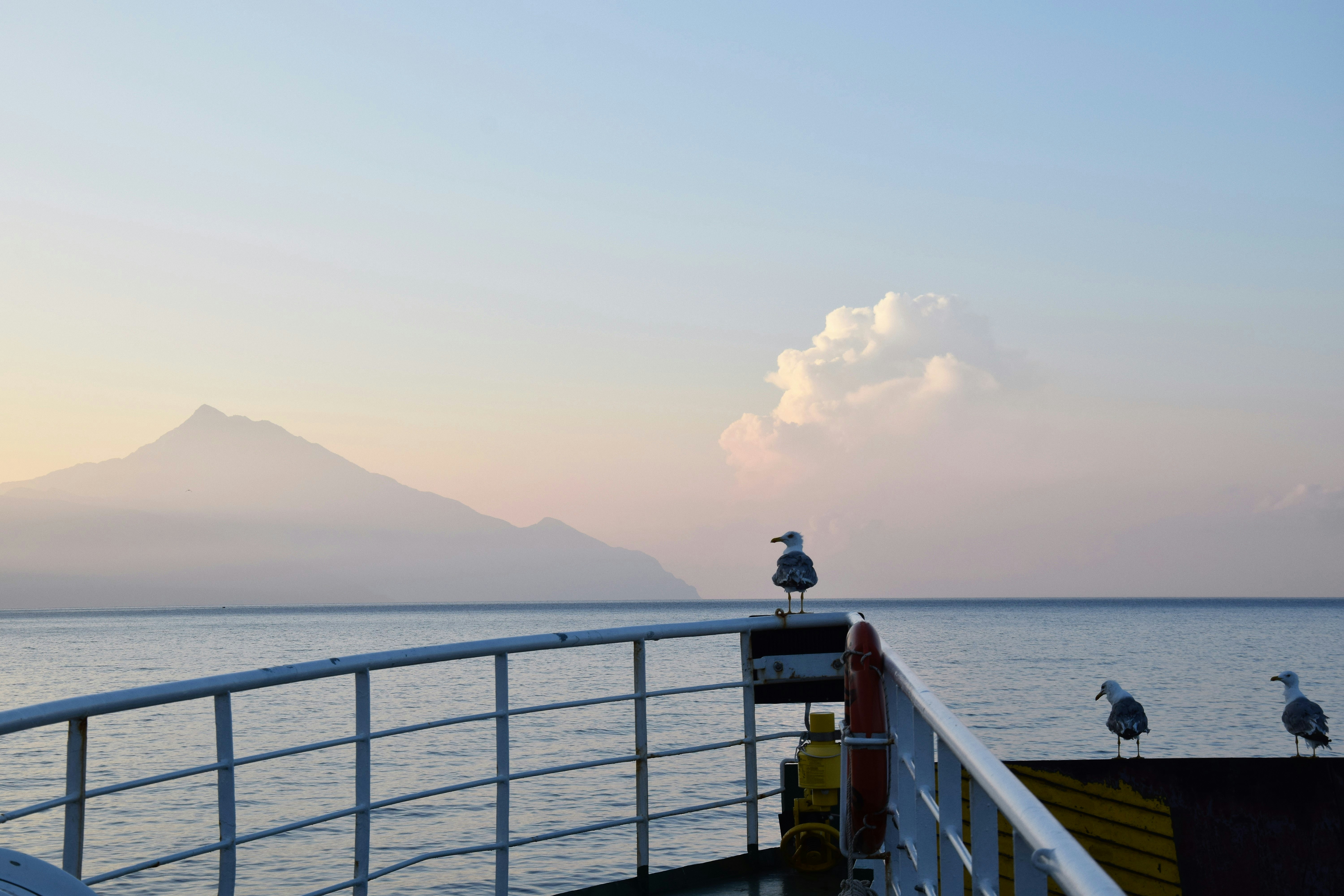 Photo by sabetheodoore