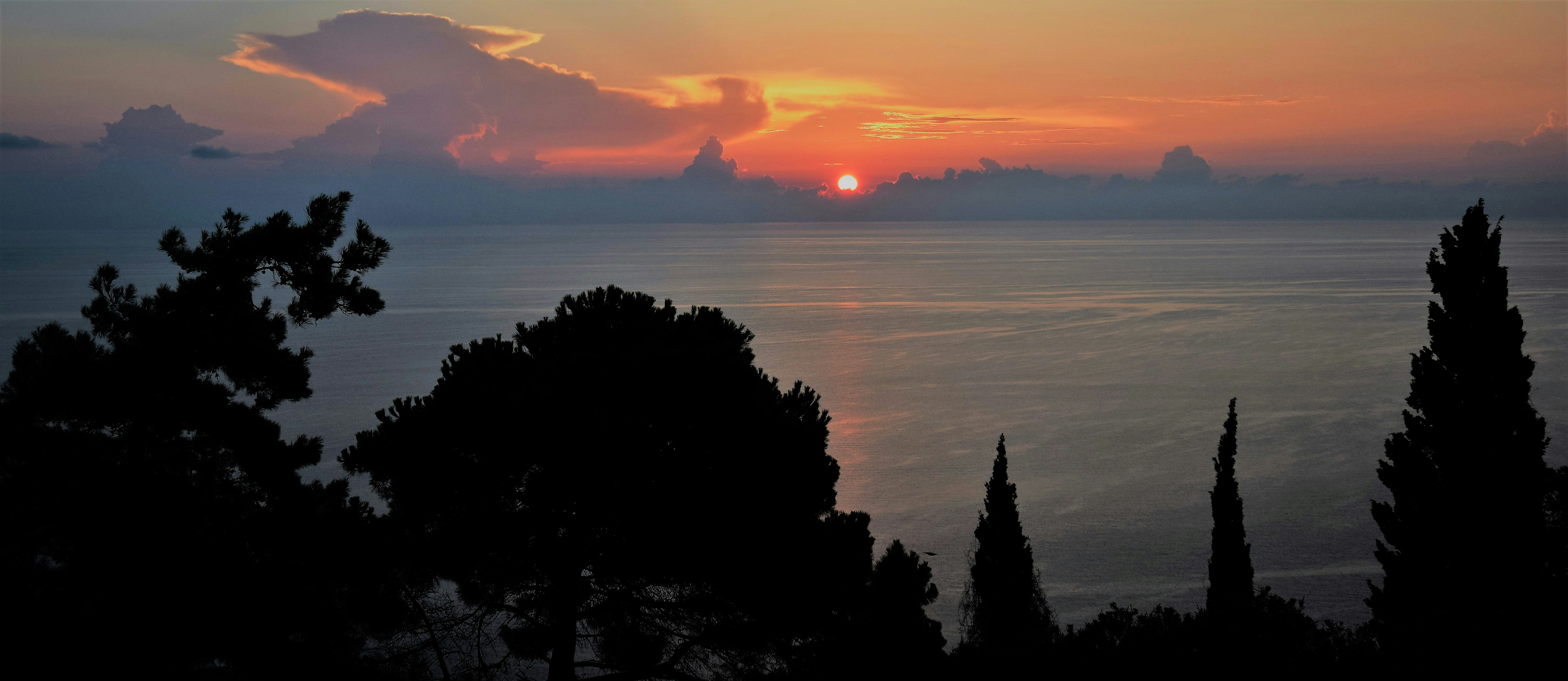 Photo by sabetheodoore