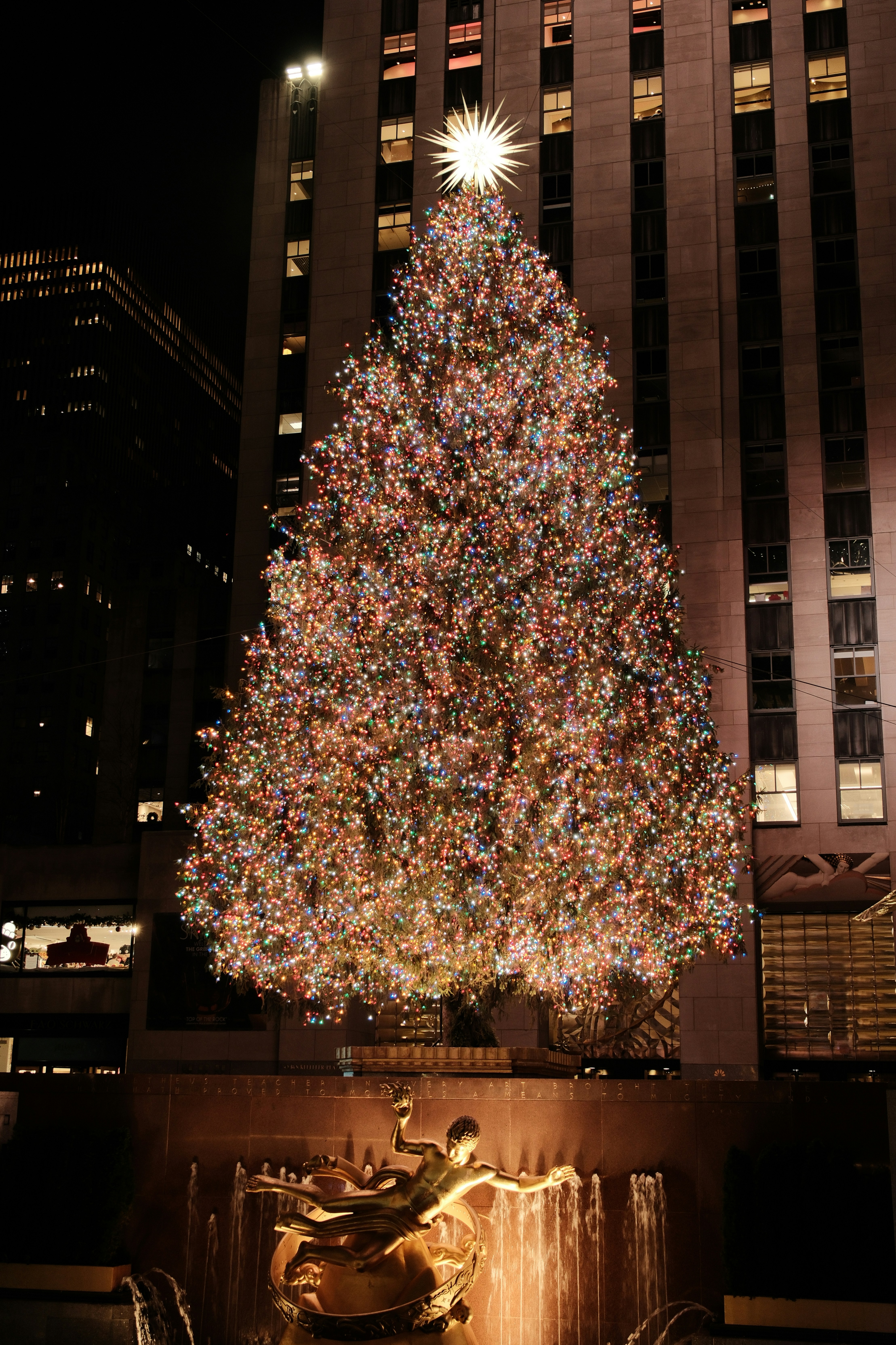 Un gran árbol de Navidad decorado con luces de colores.