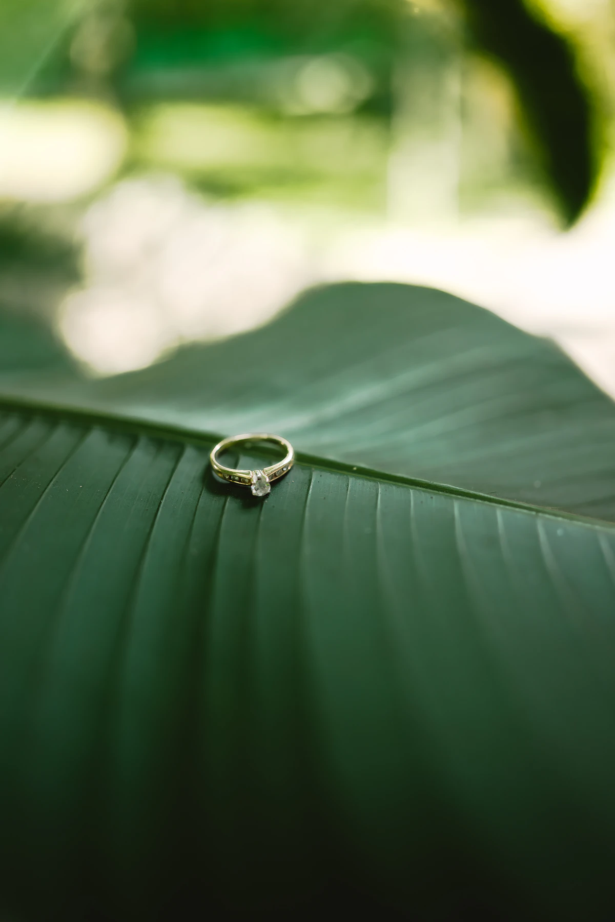 Gold ring on a leaf