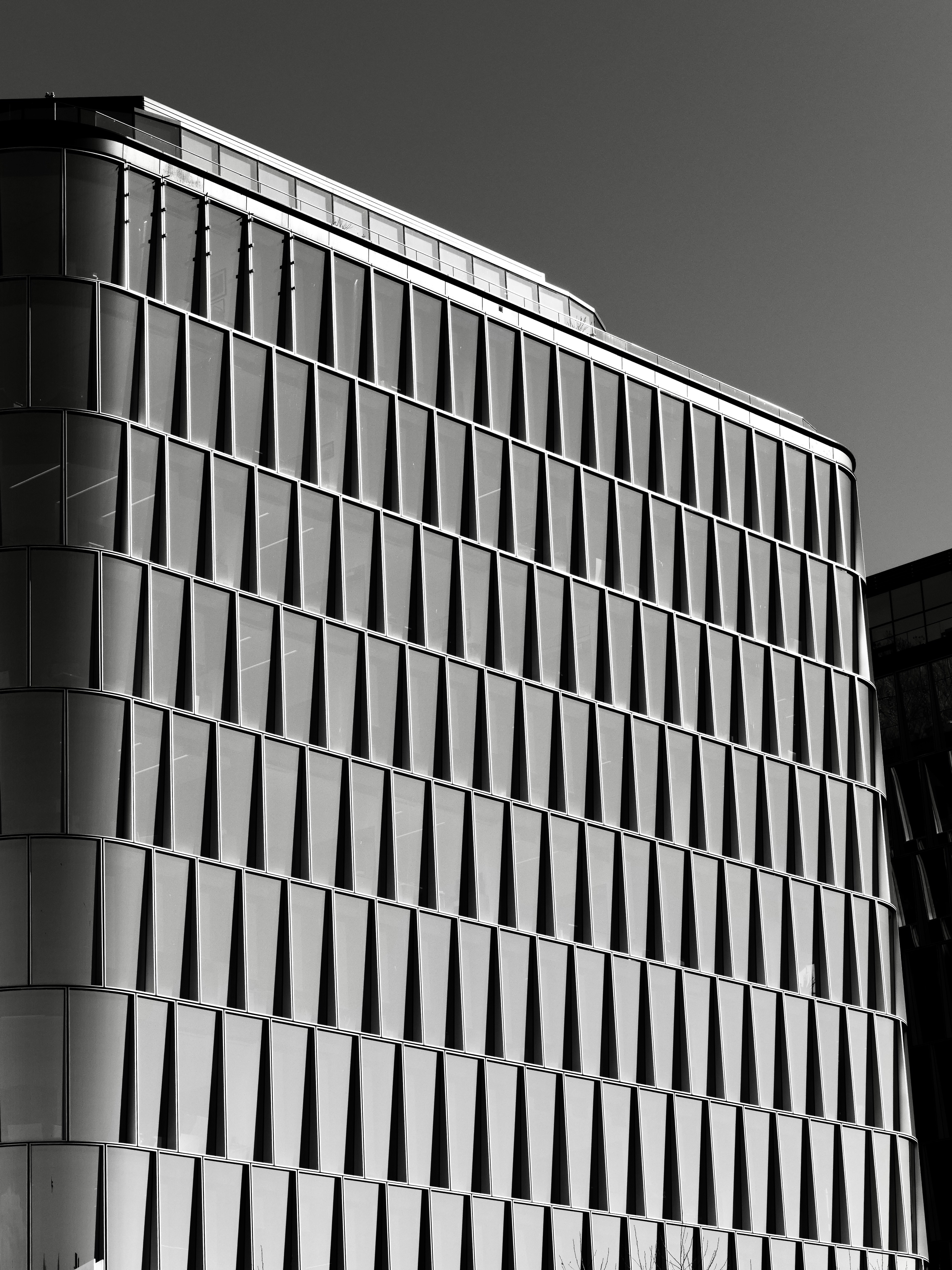 Photo by sschusterphotoart