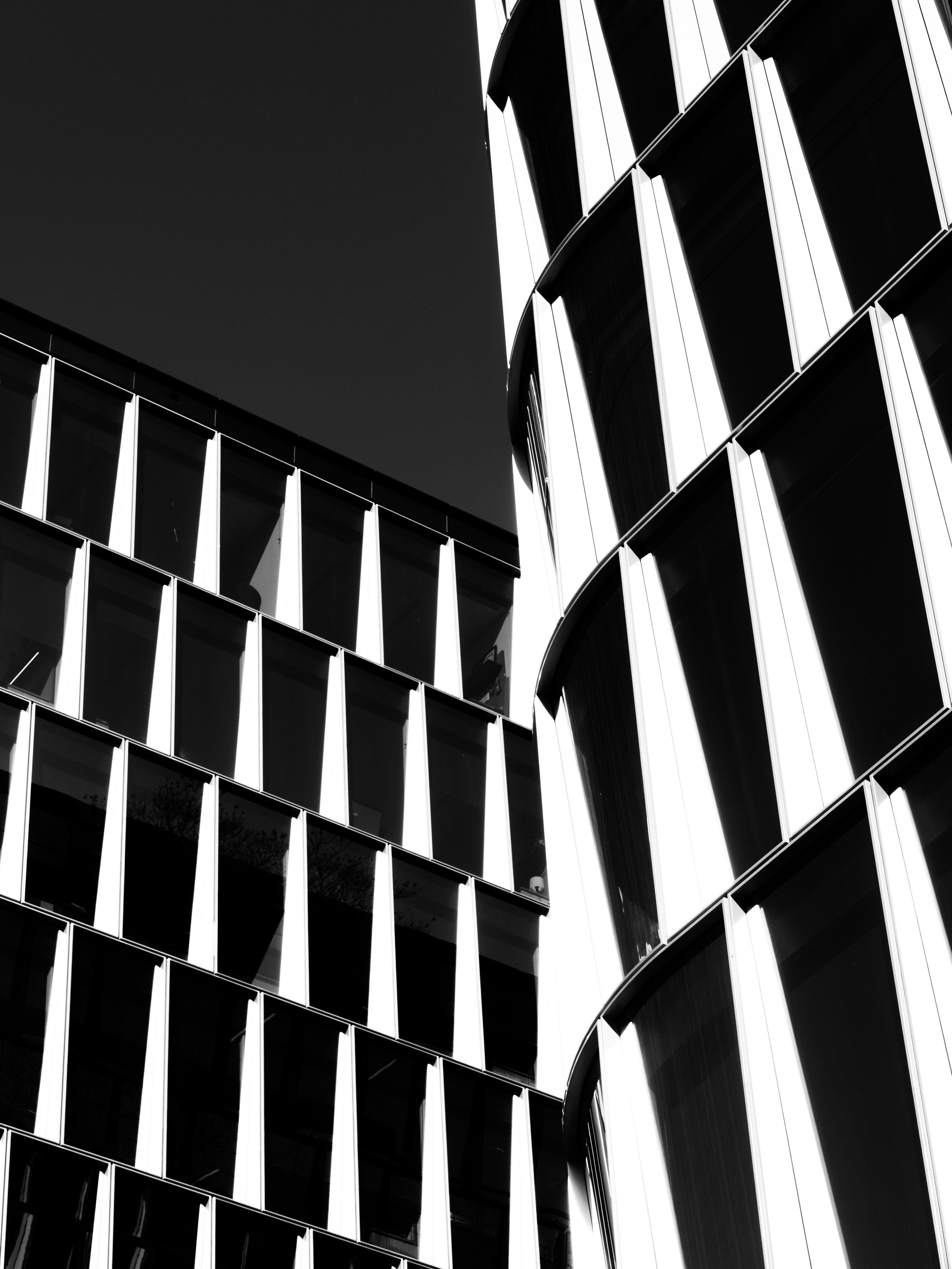 Photo by sschusterphotoart