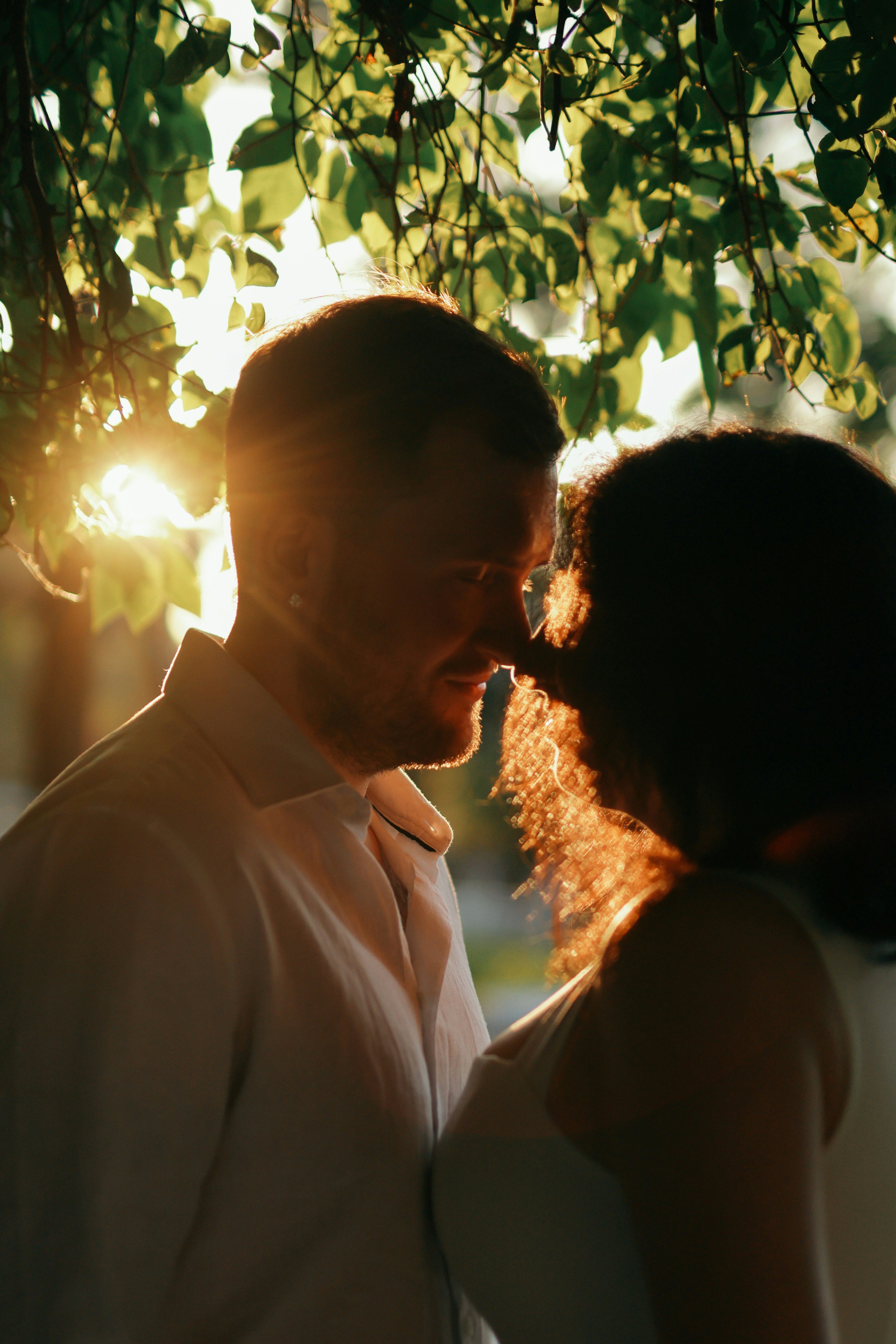 Couple silhouetted against a sunset under leaves