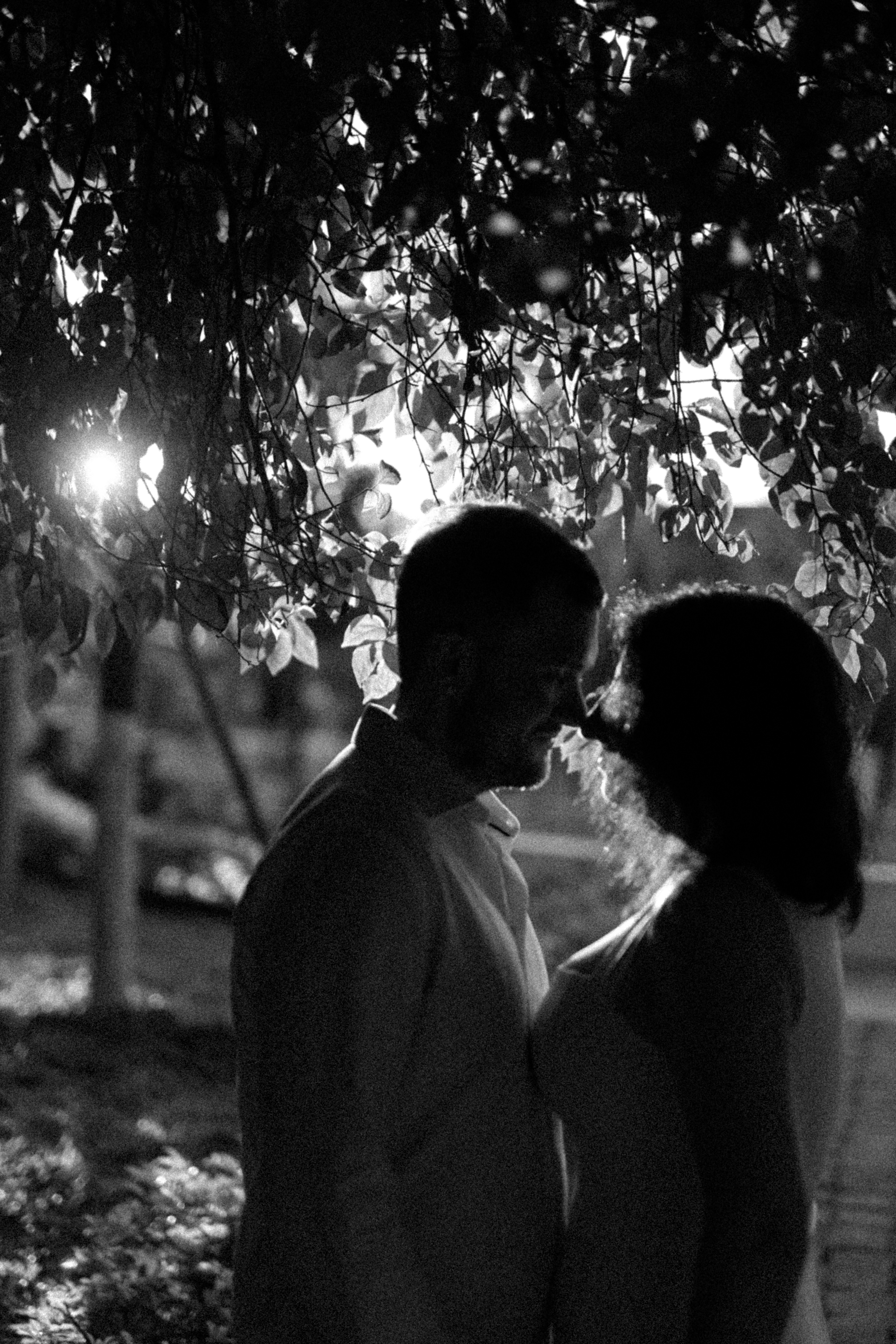 Couple silhouetted against dappled sunlight under trees