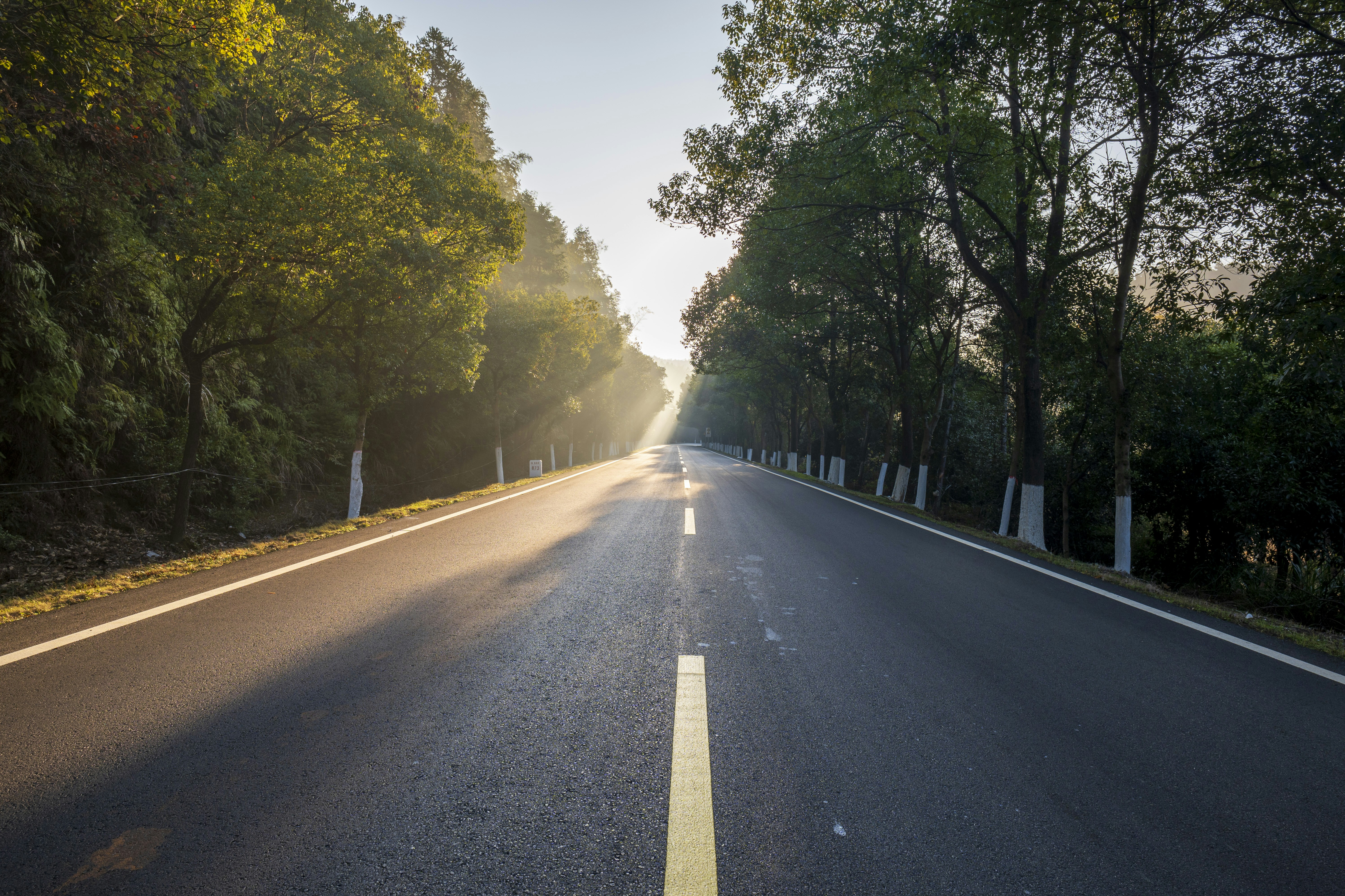 Photo by b1n_1100010