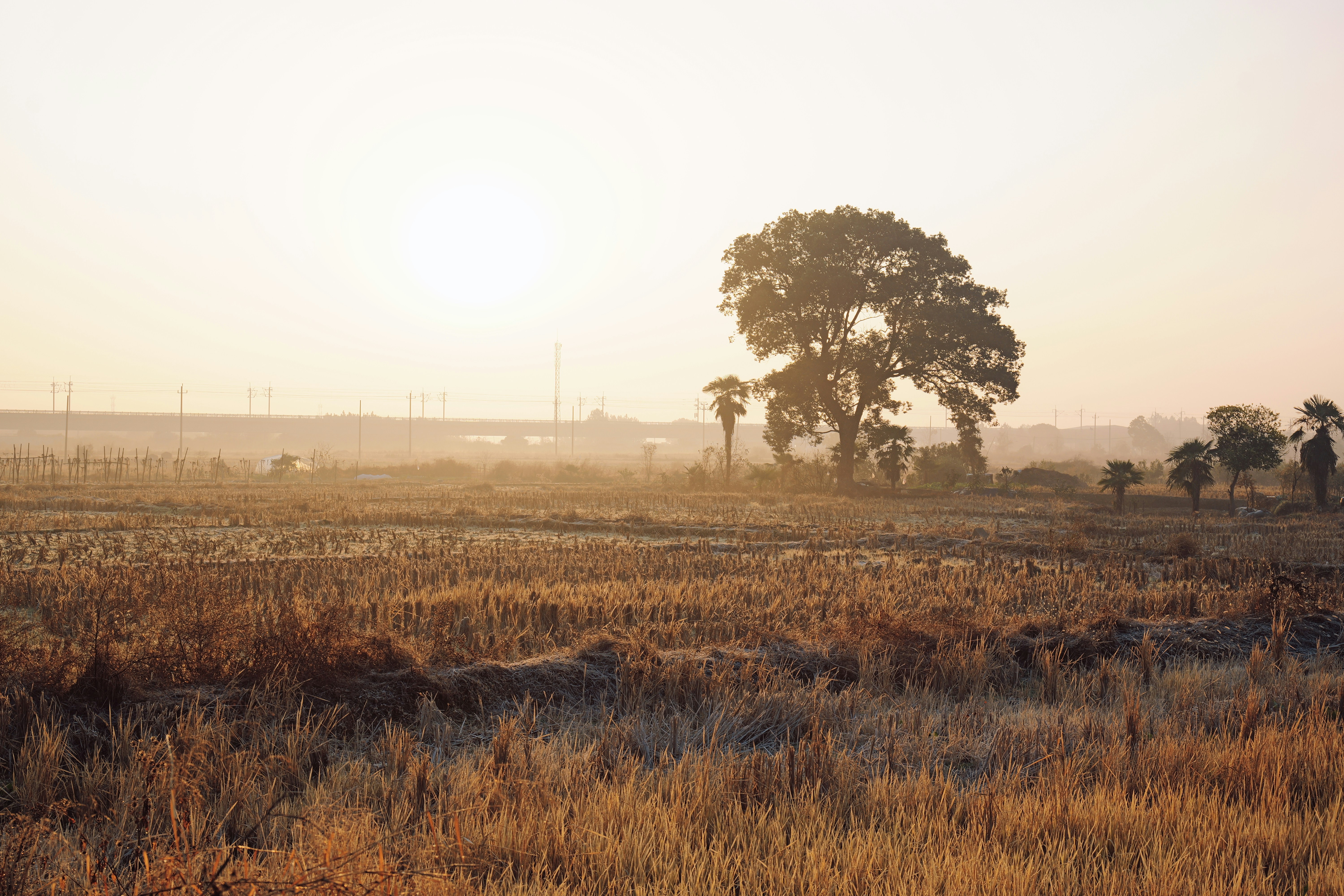 Photo by b1n_1100010