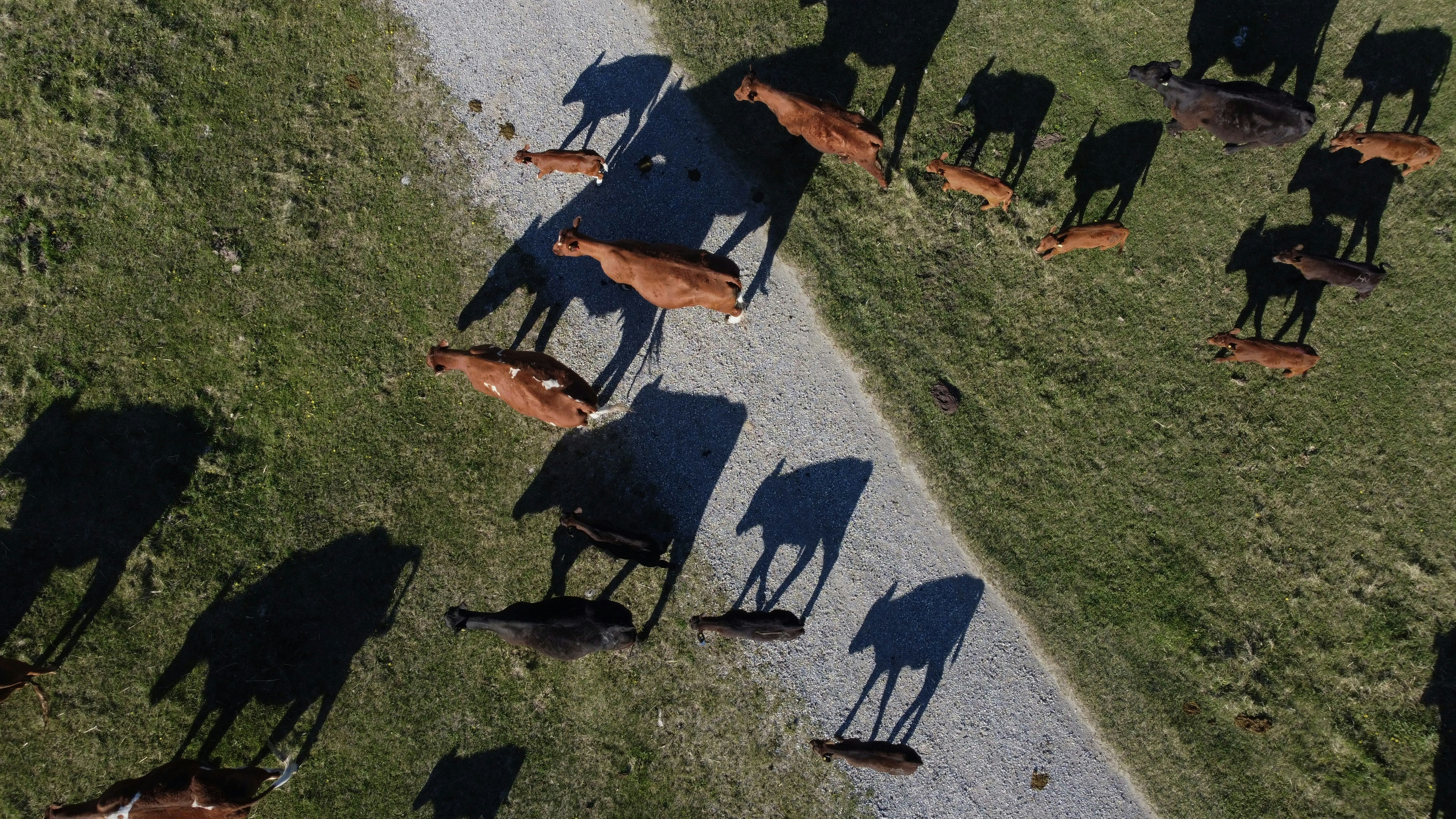 Escuela Técnica Paso de Los Toros