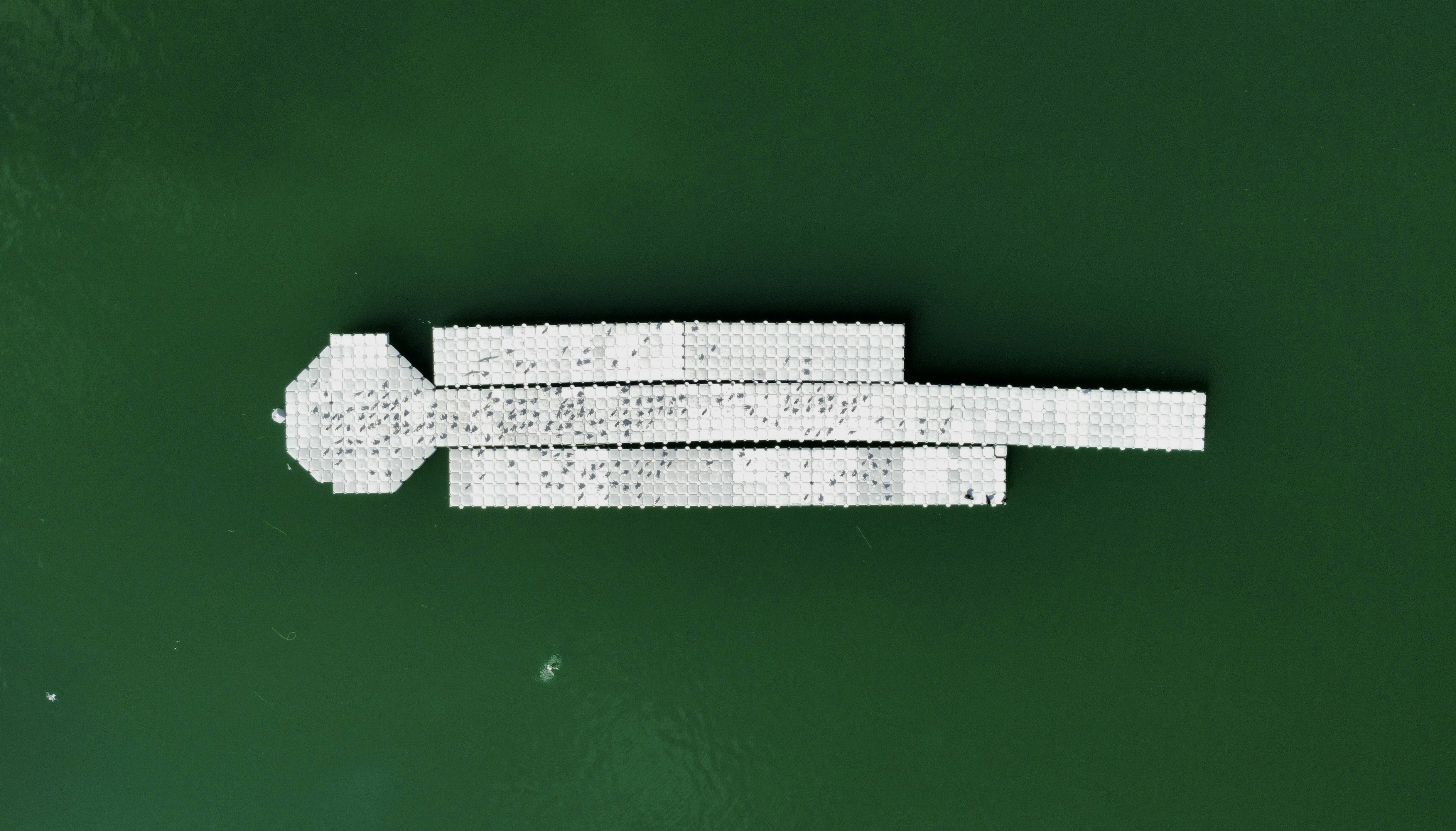 Photo by danielmiksha