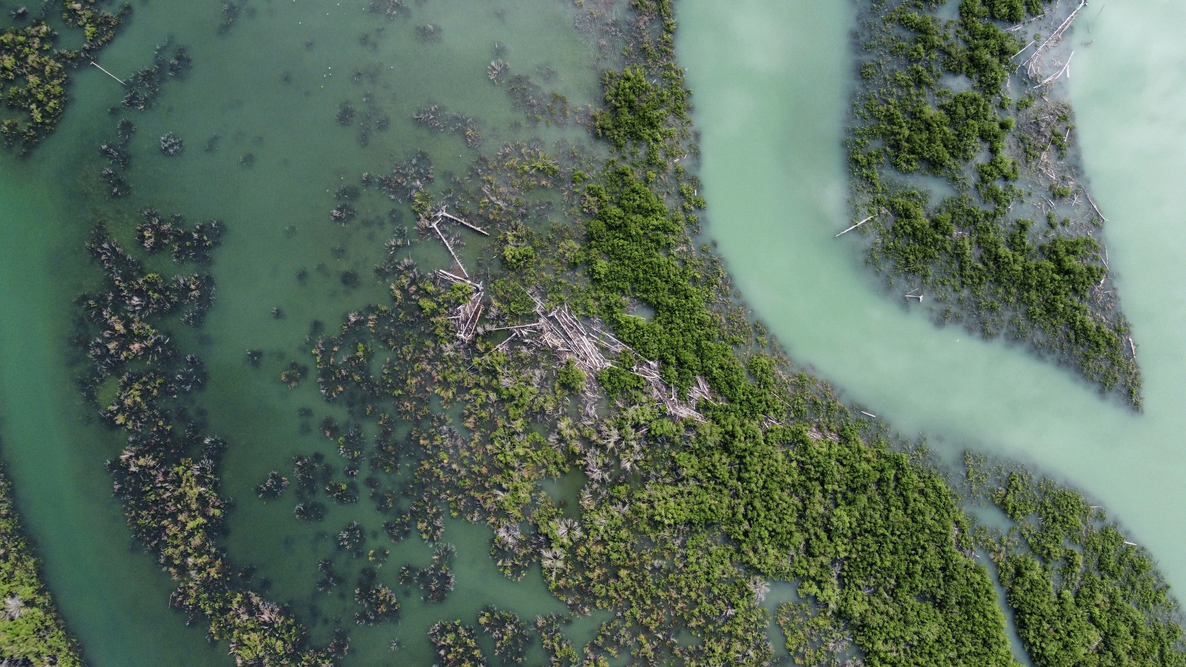 Photo by danielmiksha