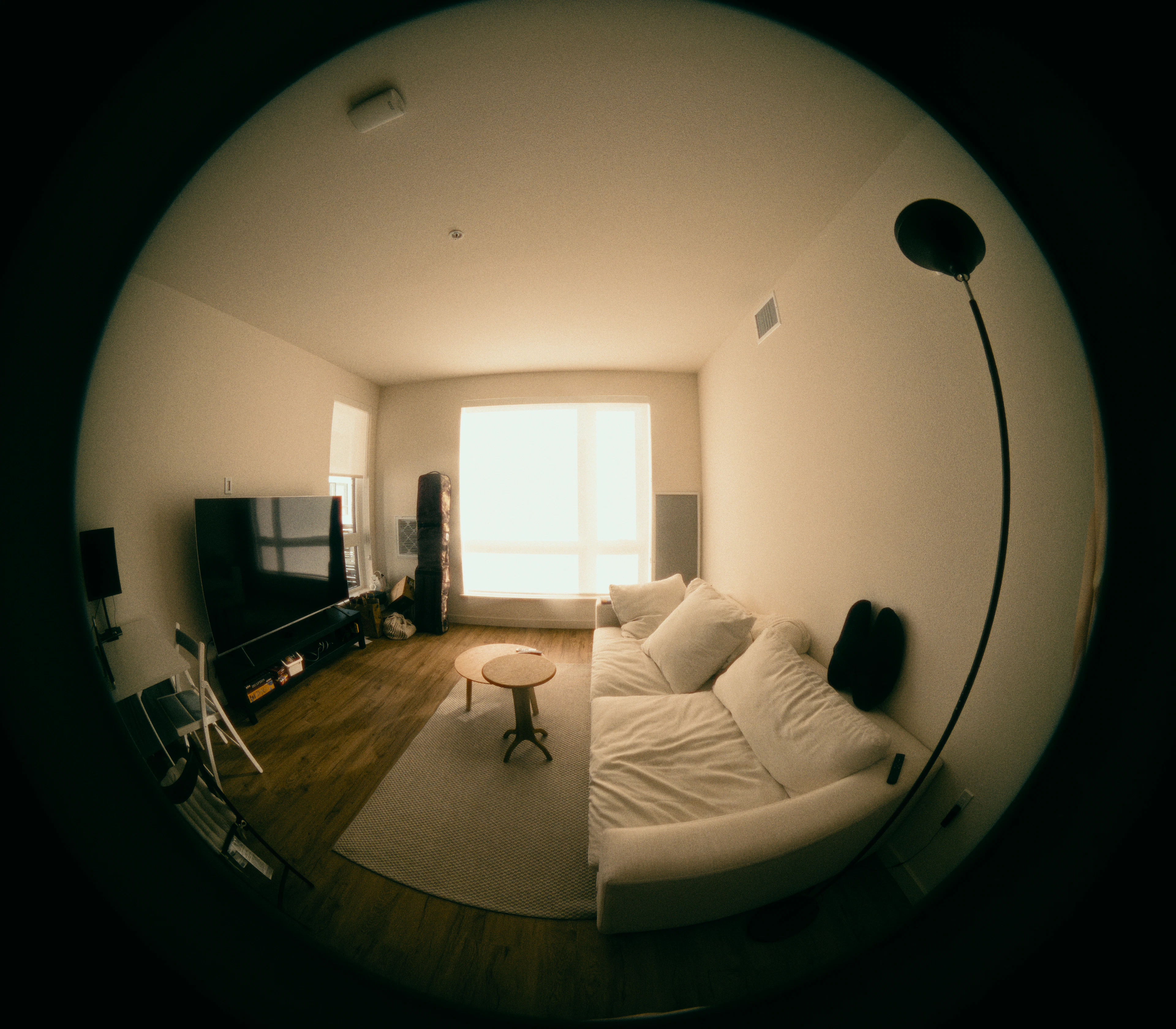 Large Residential Cleanout