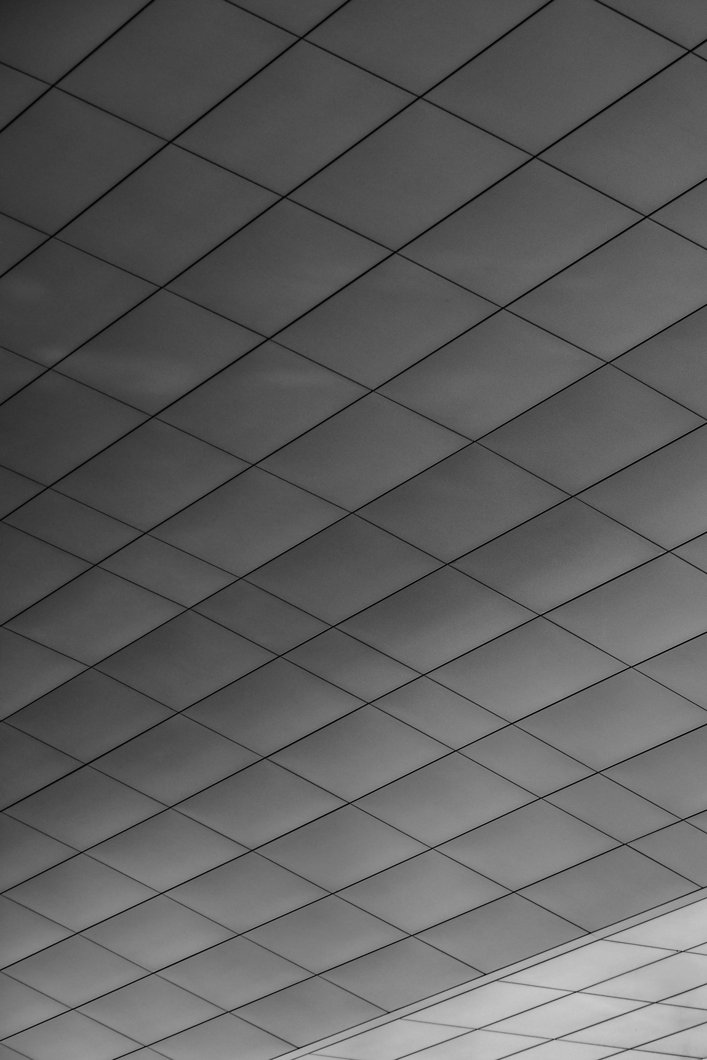 Photo by davidgeneugelijk