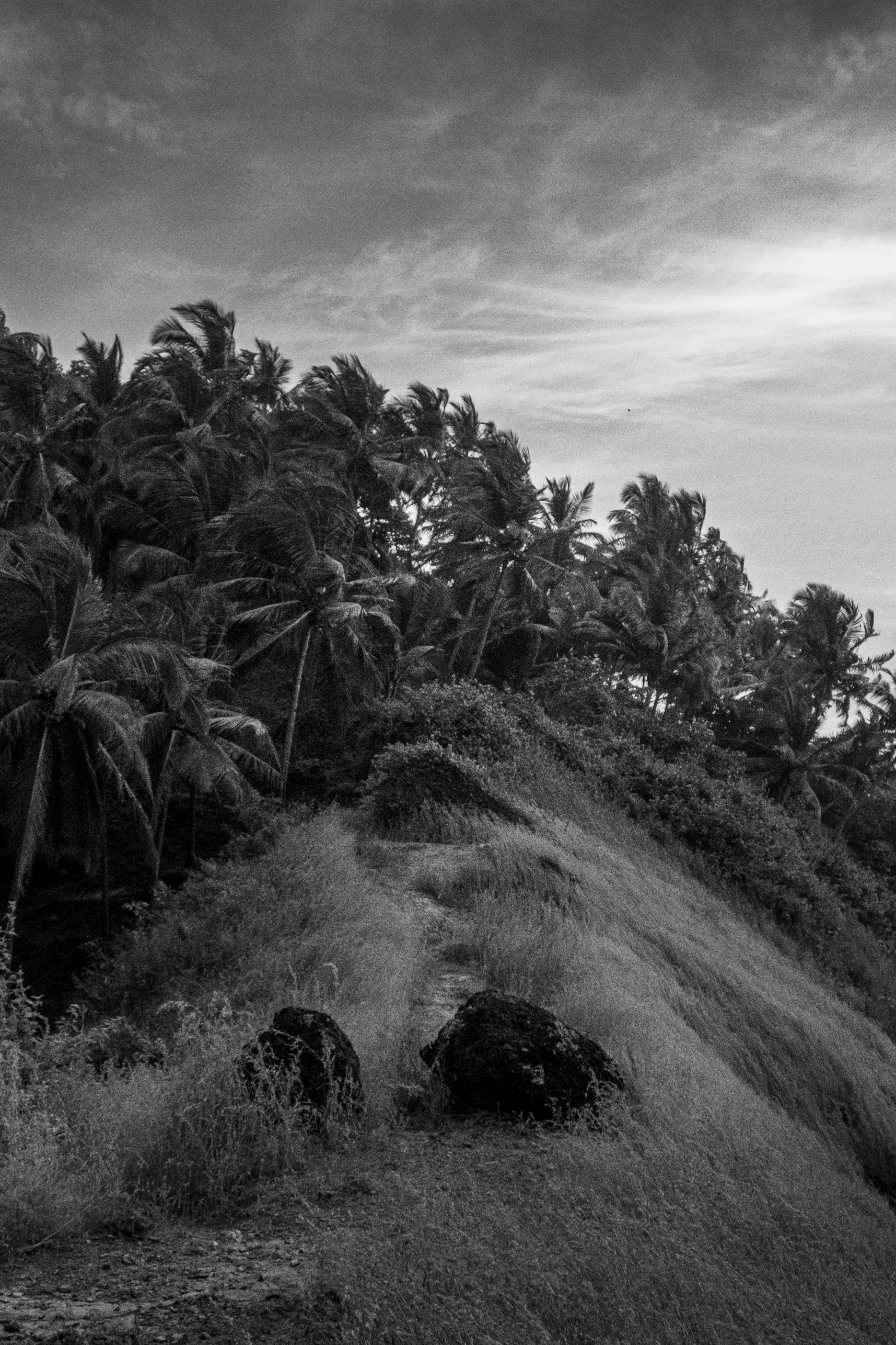 Photo by zoshuacolah