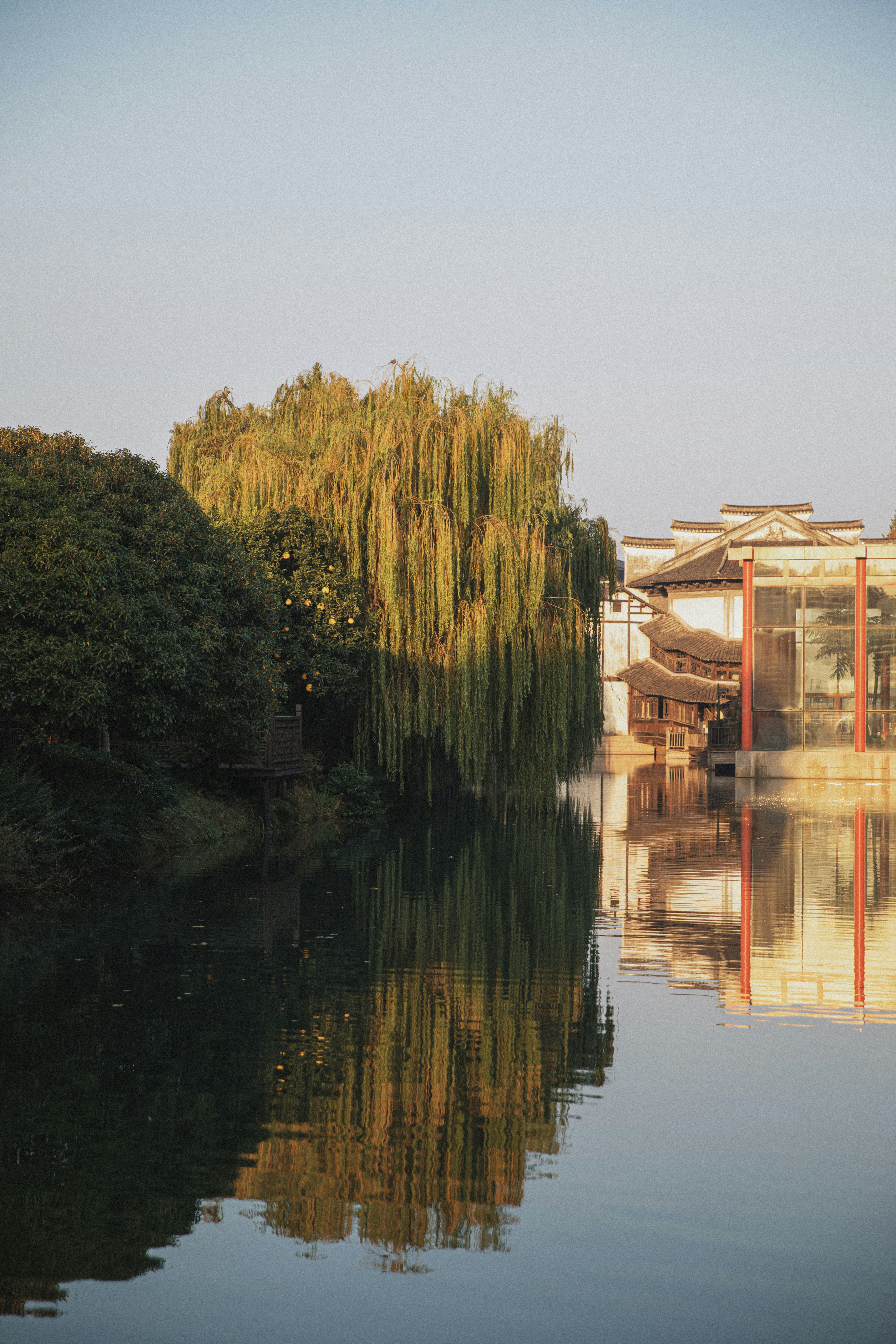 Willow tree and traditional buildings reflected in water