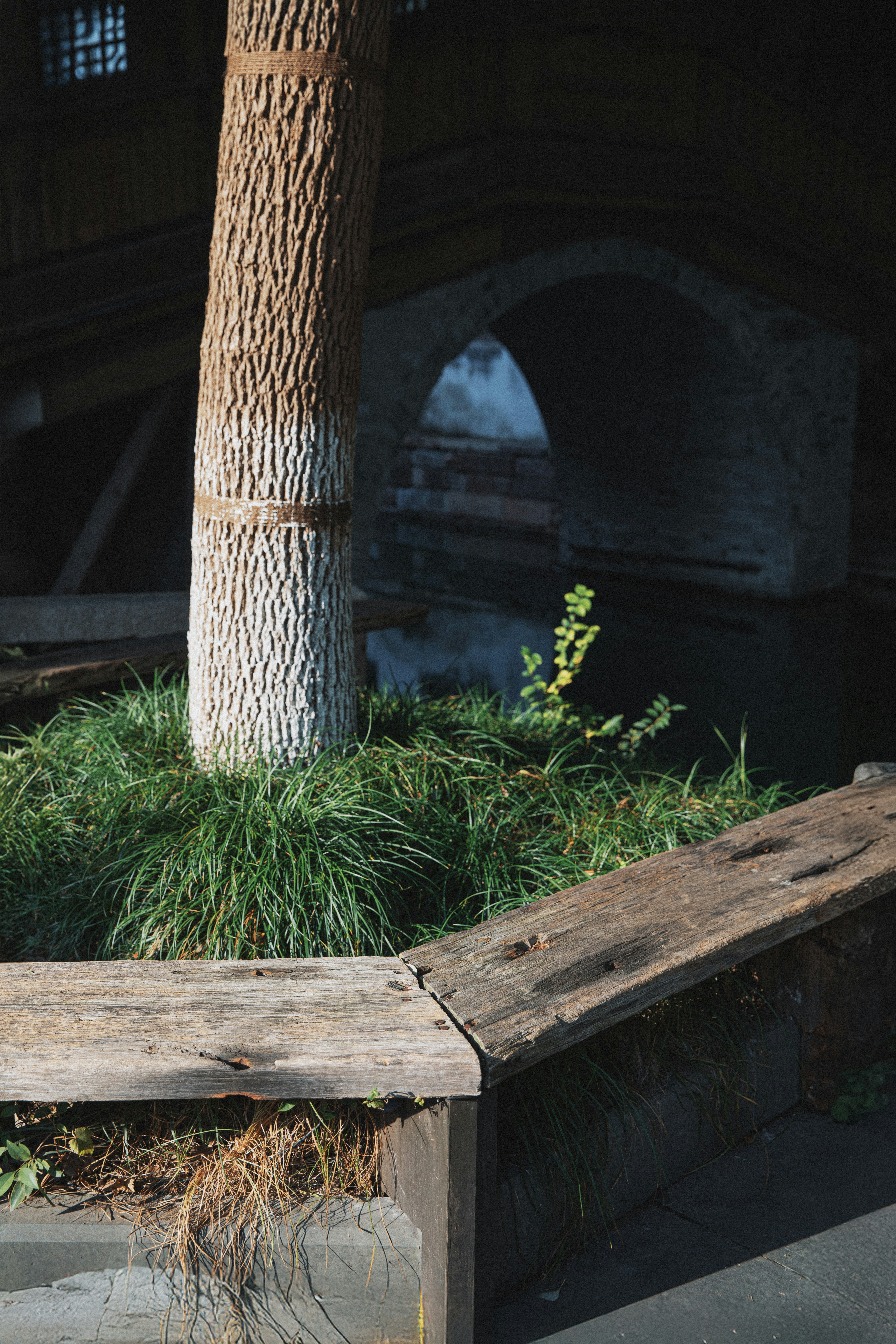 Wooden bench near a tree and arched bridge