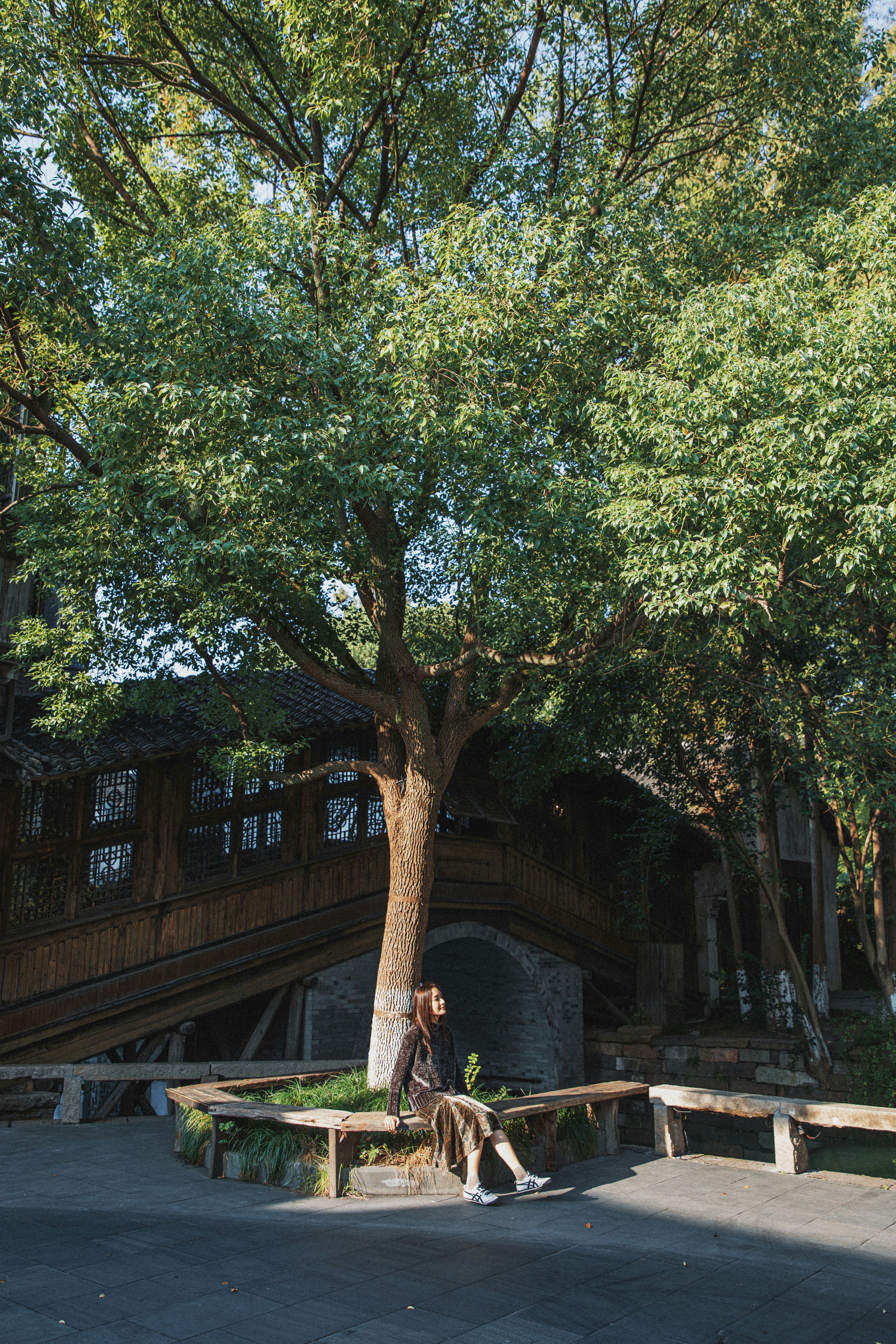 Woman sitting under a large tree by a wooden bridge.