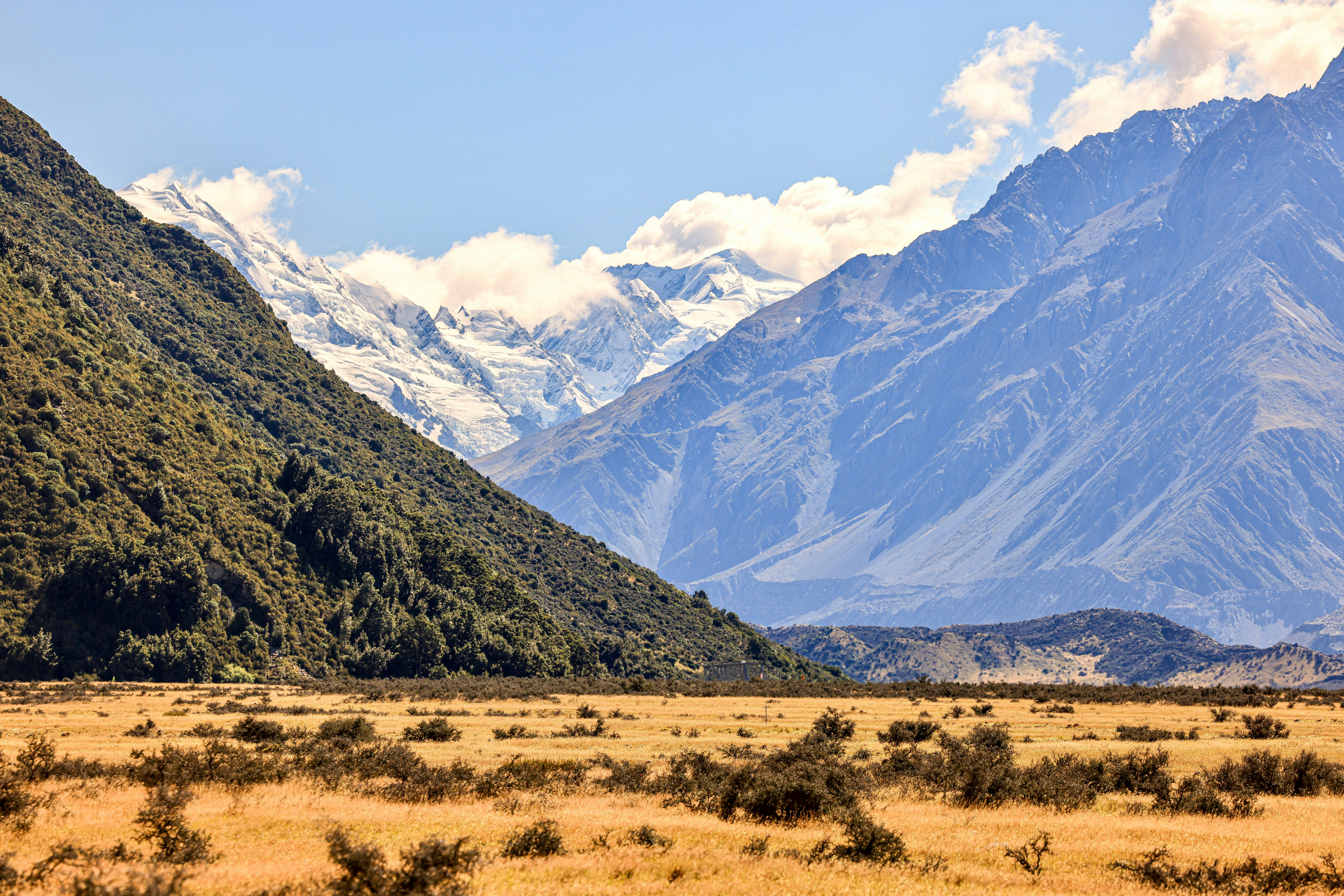 Photo by maximilian_brand