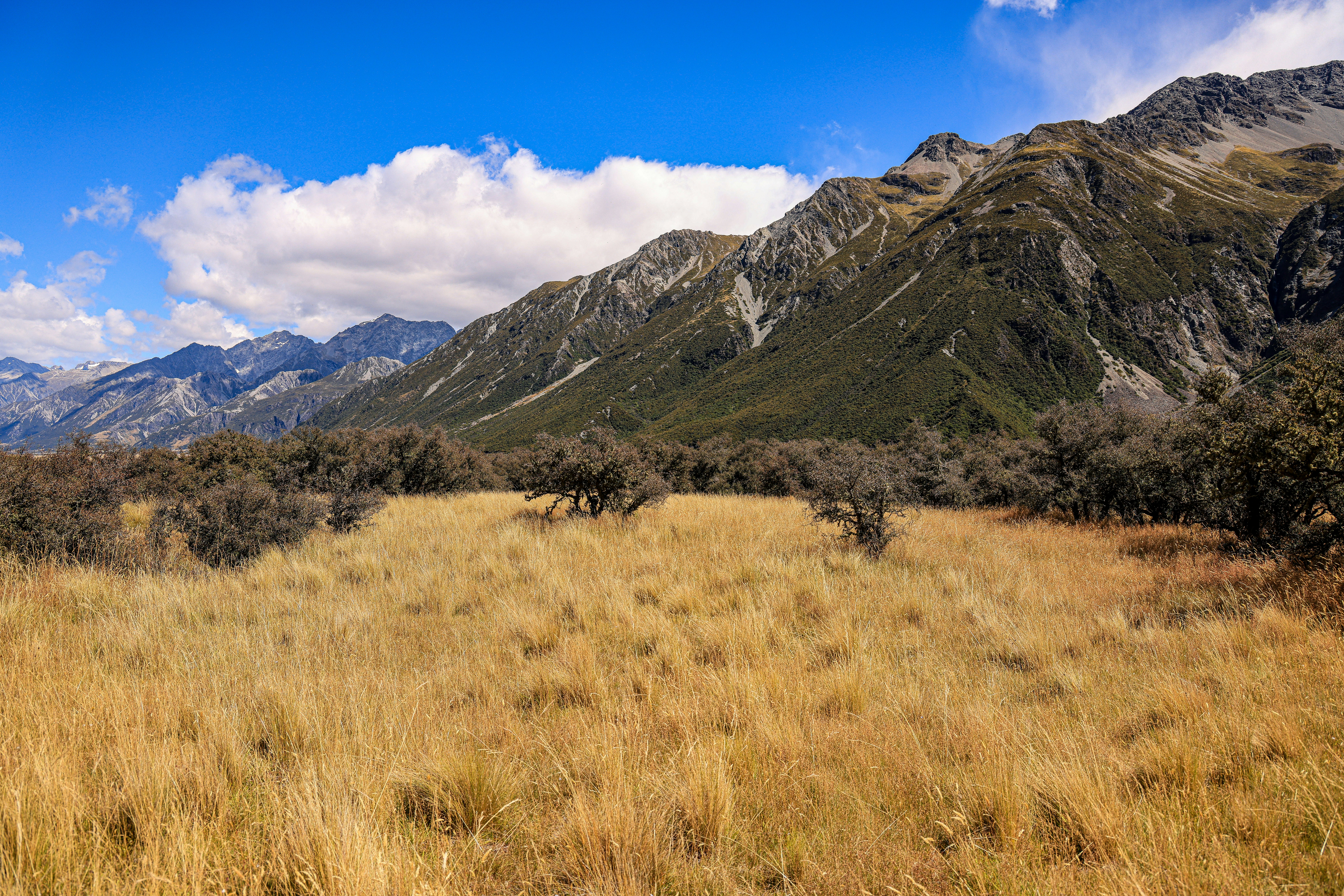 Photo by maximilian_brand