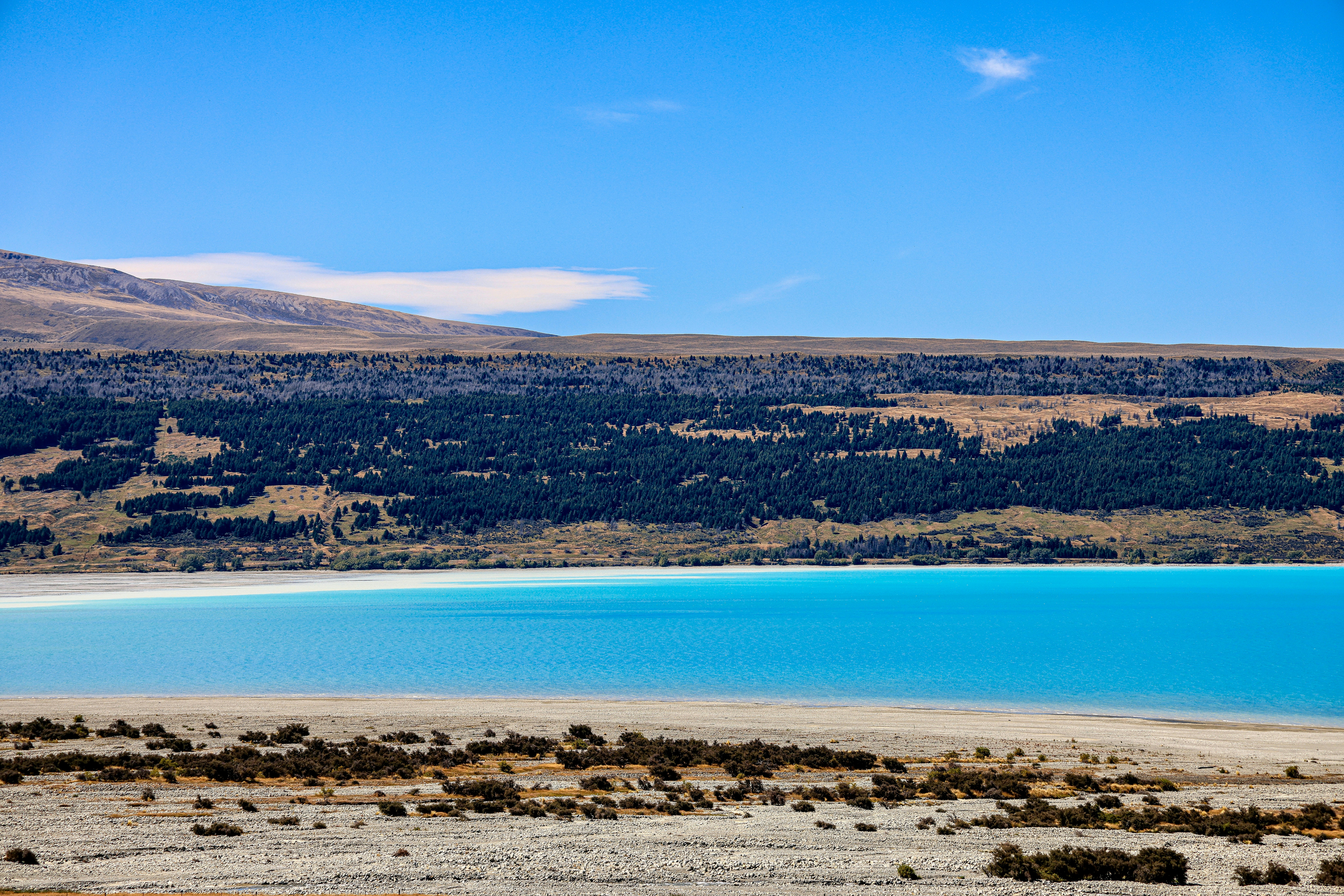 Photo by maximilian_brand