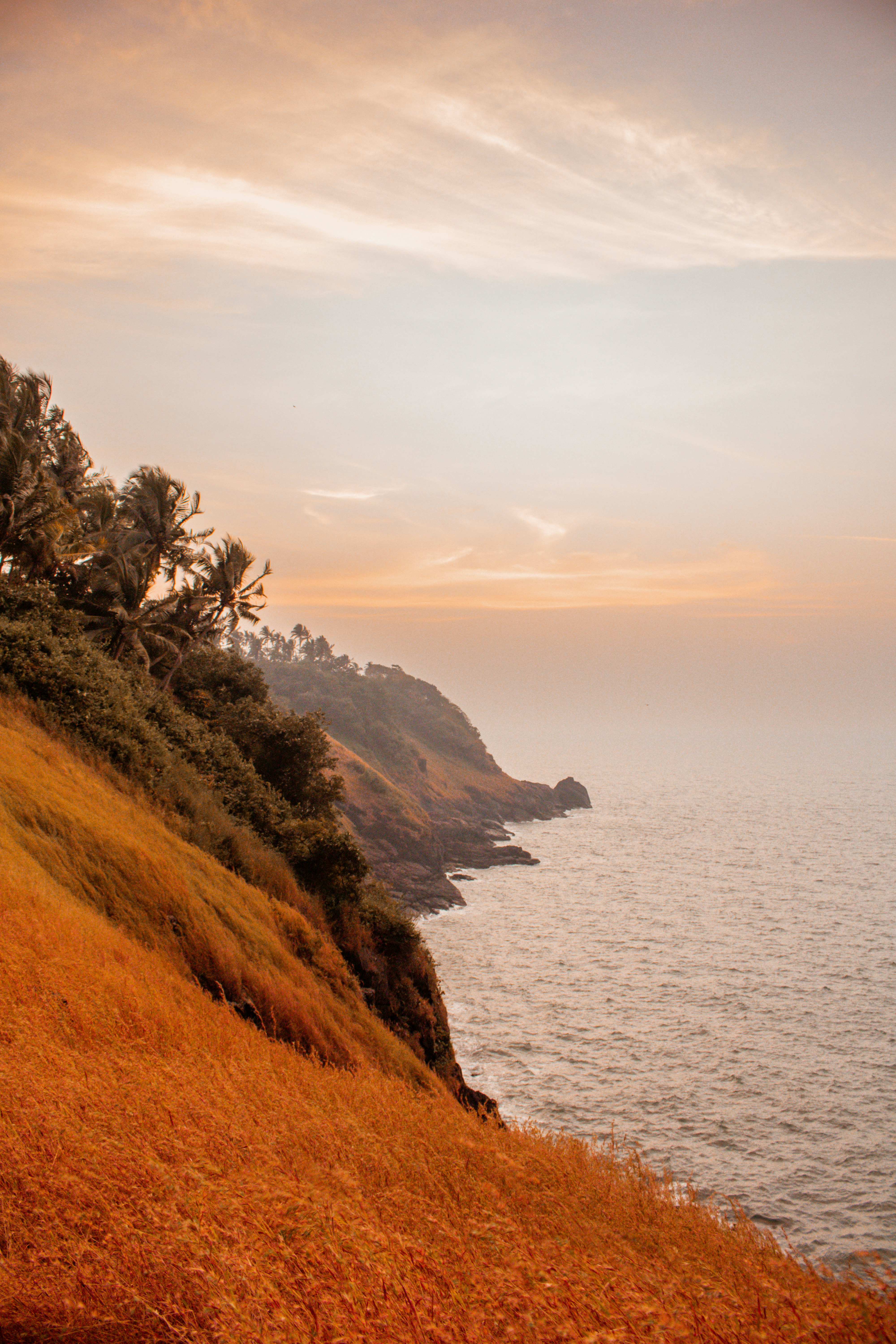 Photo by zoshuacolah