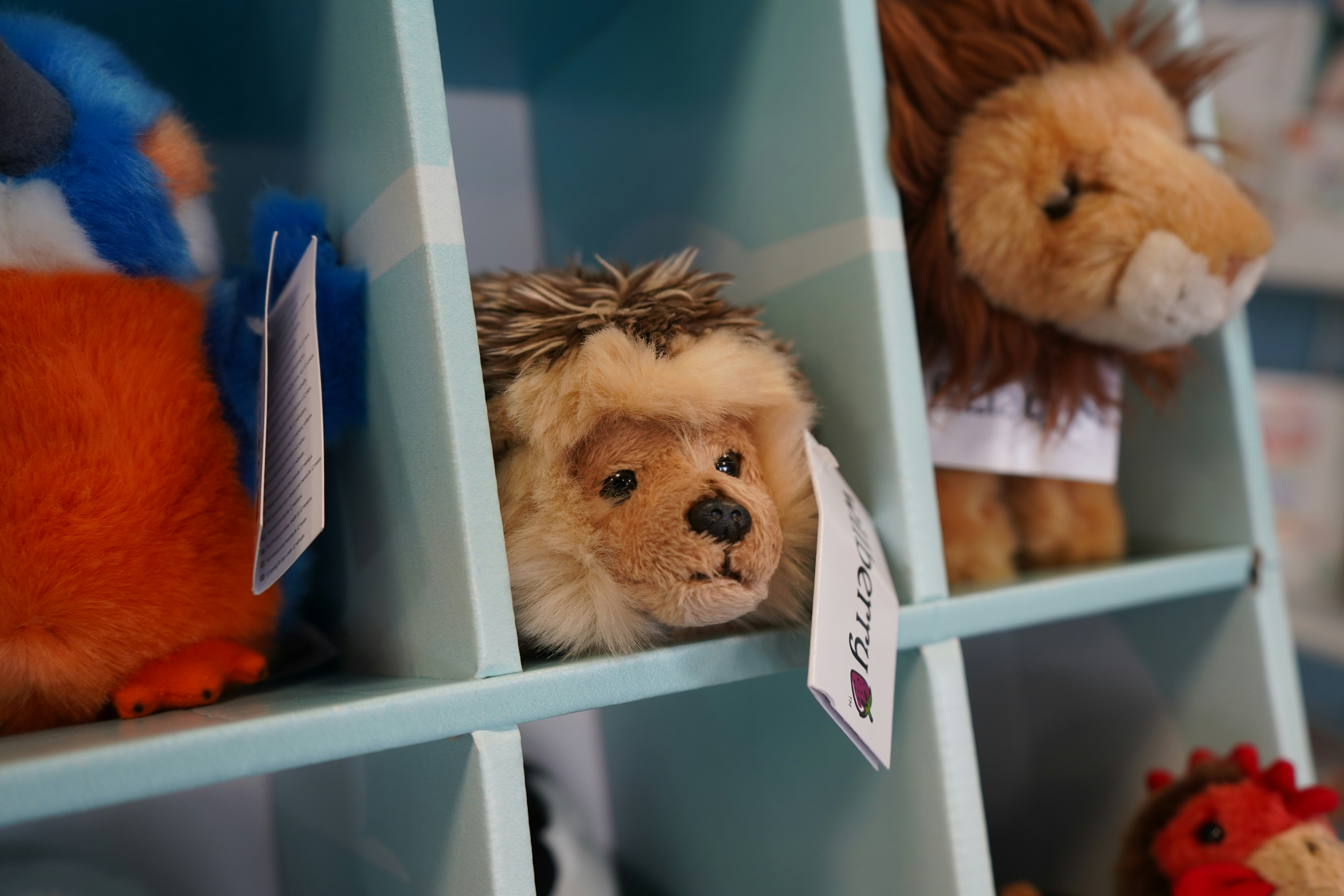 Plush hedgehog toy peeking from a shelf
