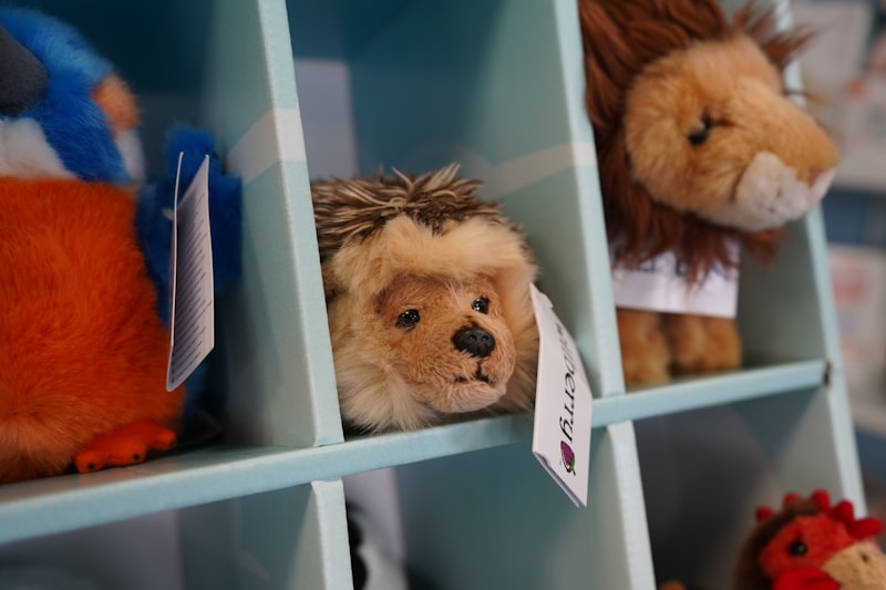 SPC для детского сада: требования