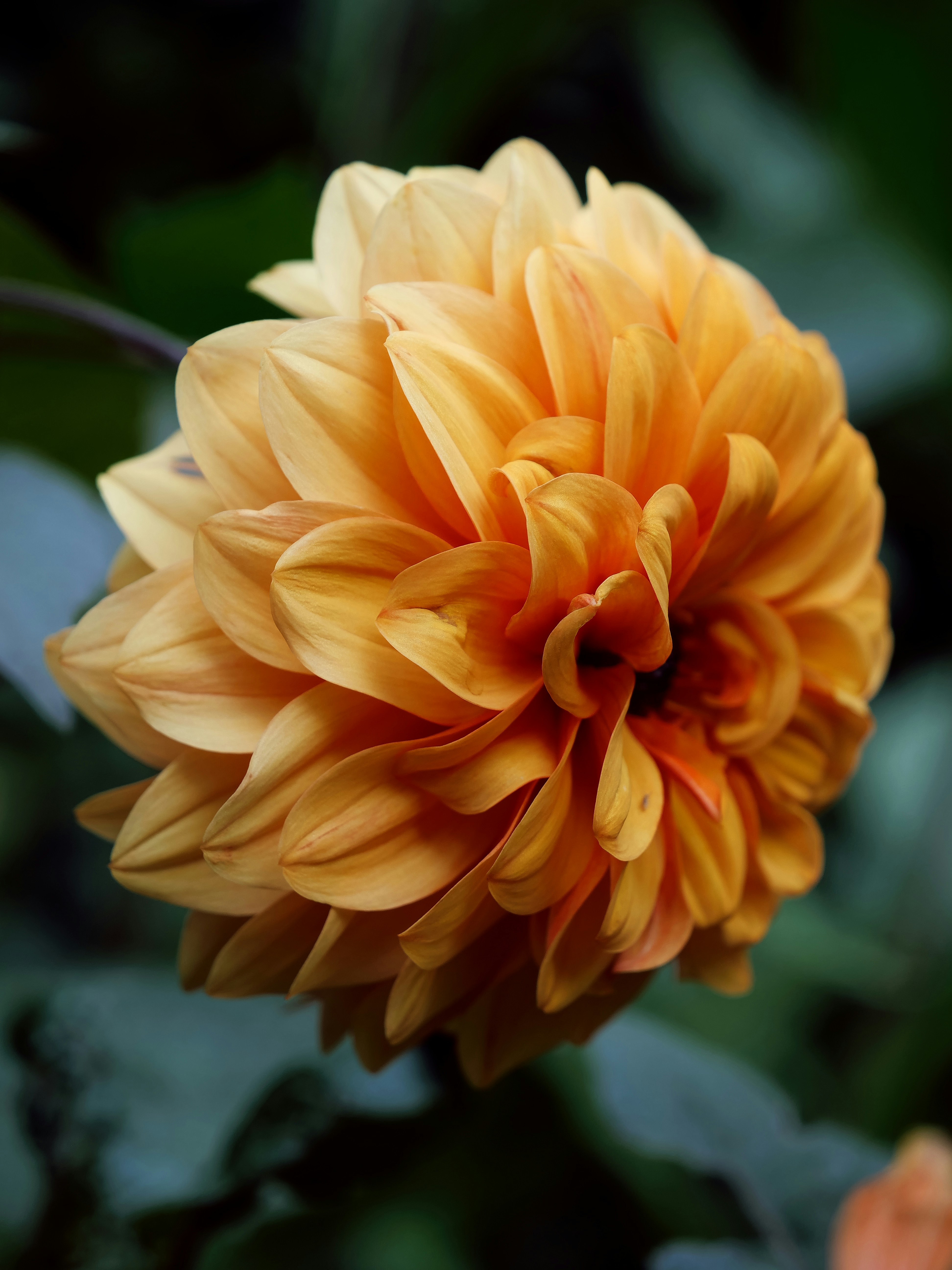 Photo by balmy_sunset