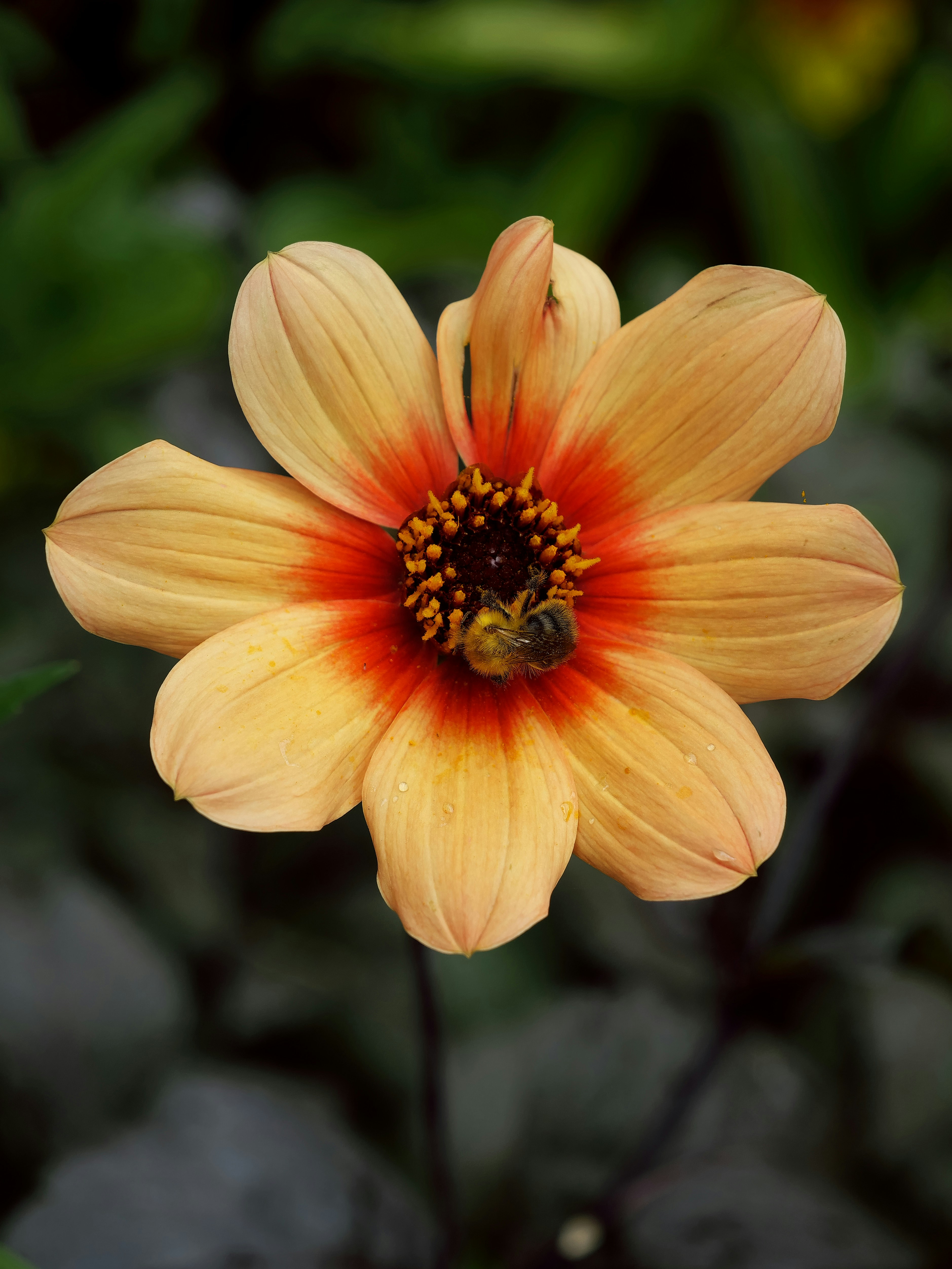 Photo by balmy_sunset