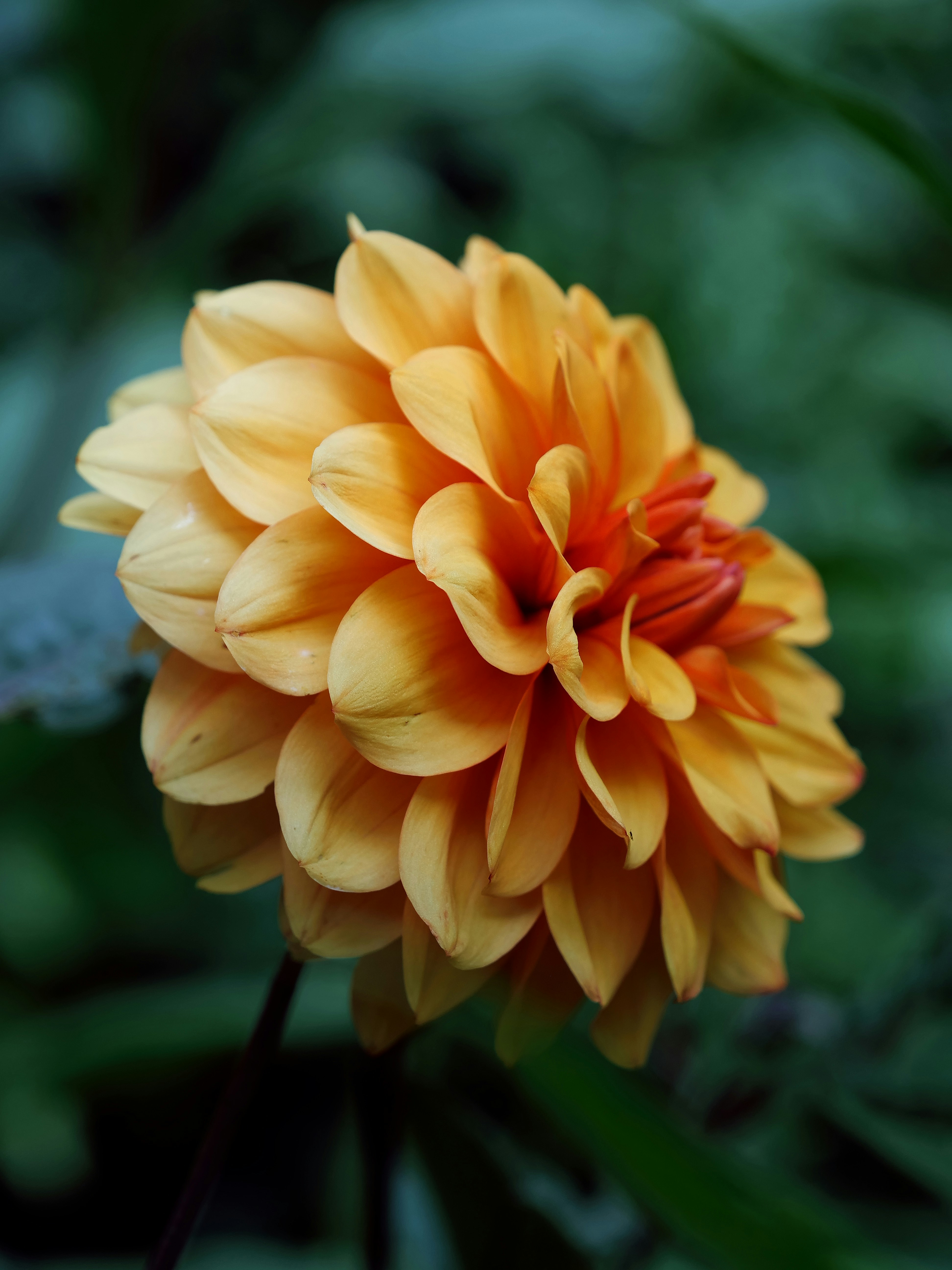 Photo by balmy_sunset