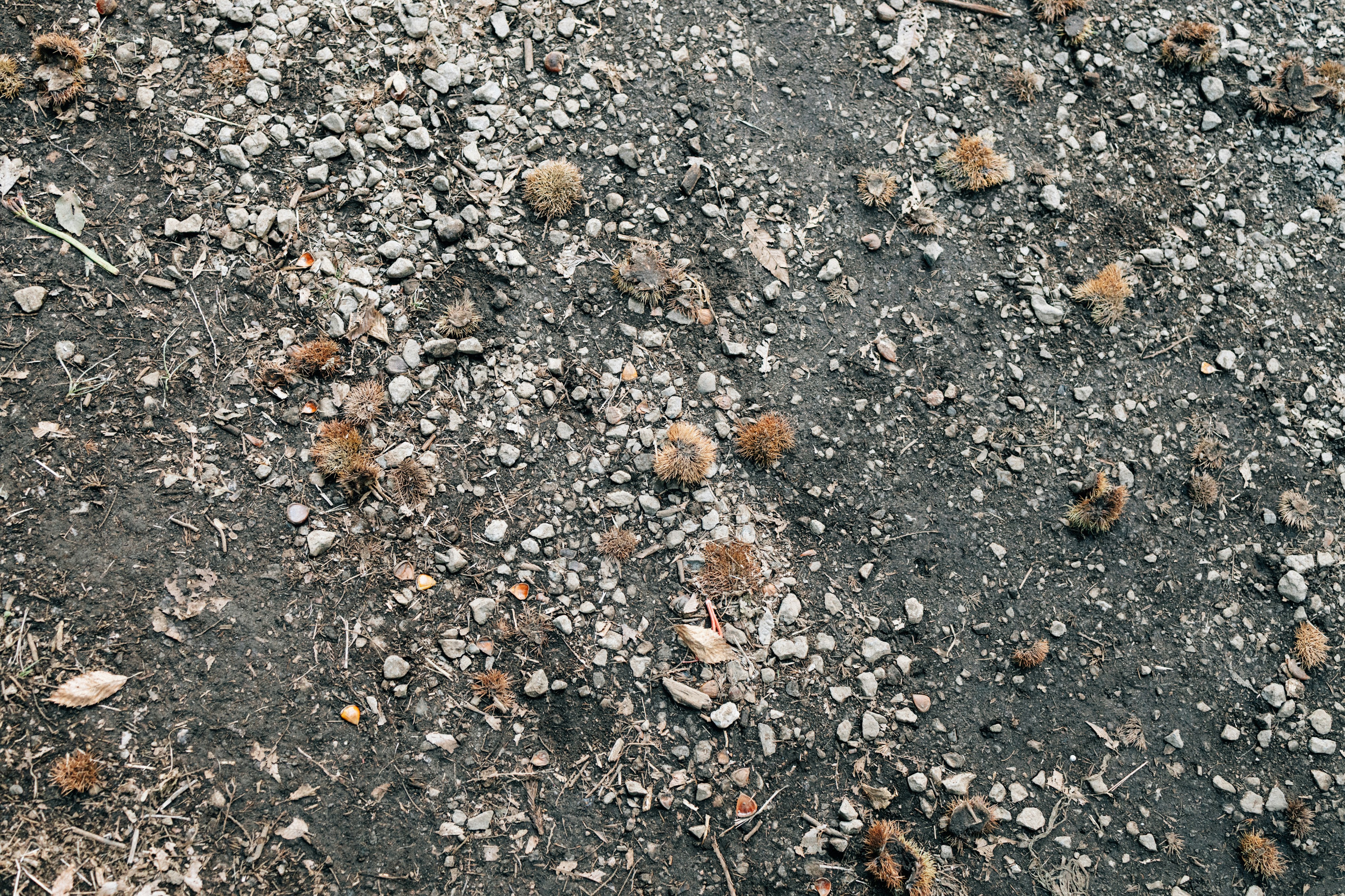 Photo by tsuyoshikozu