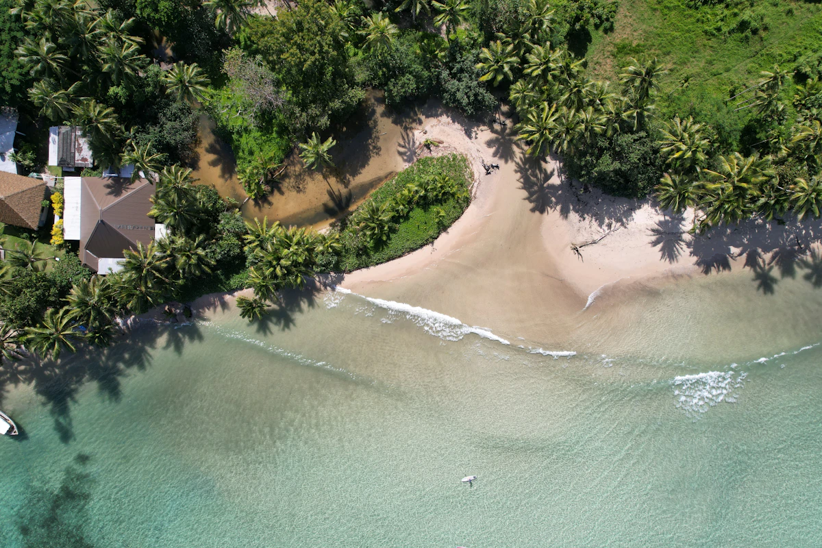 Aerial view of a sandy cove backed by dense tropical forest