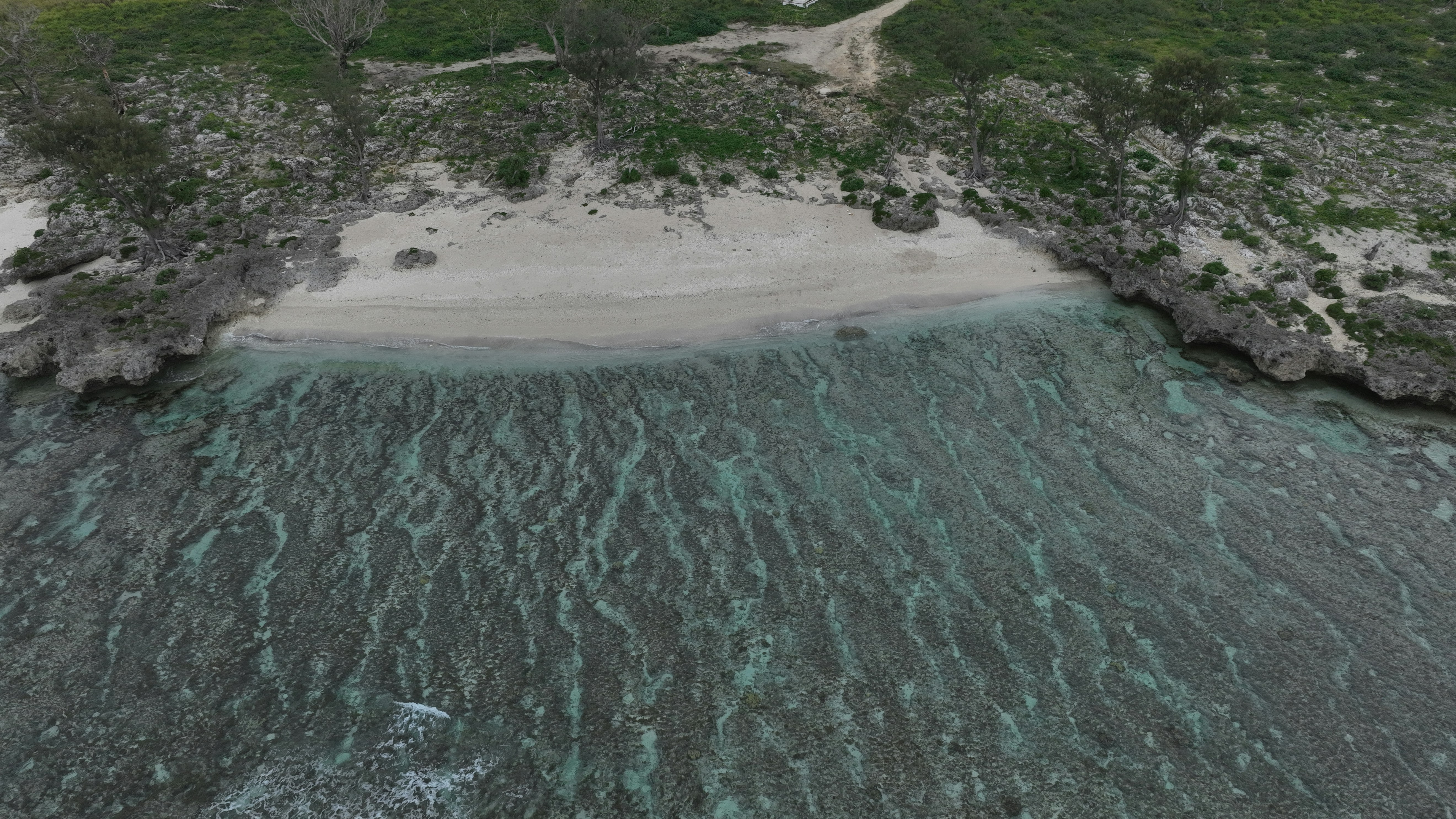 Photo by aleen_prasad