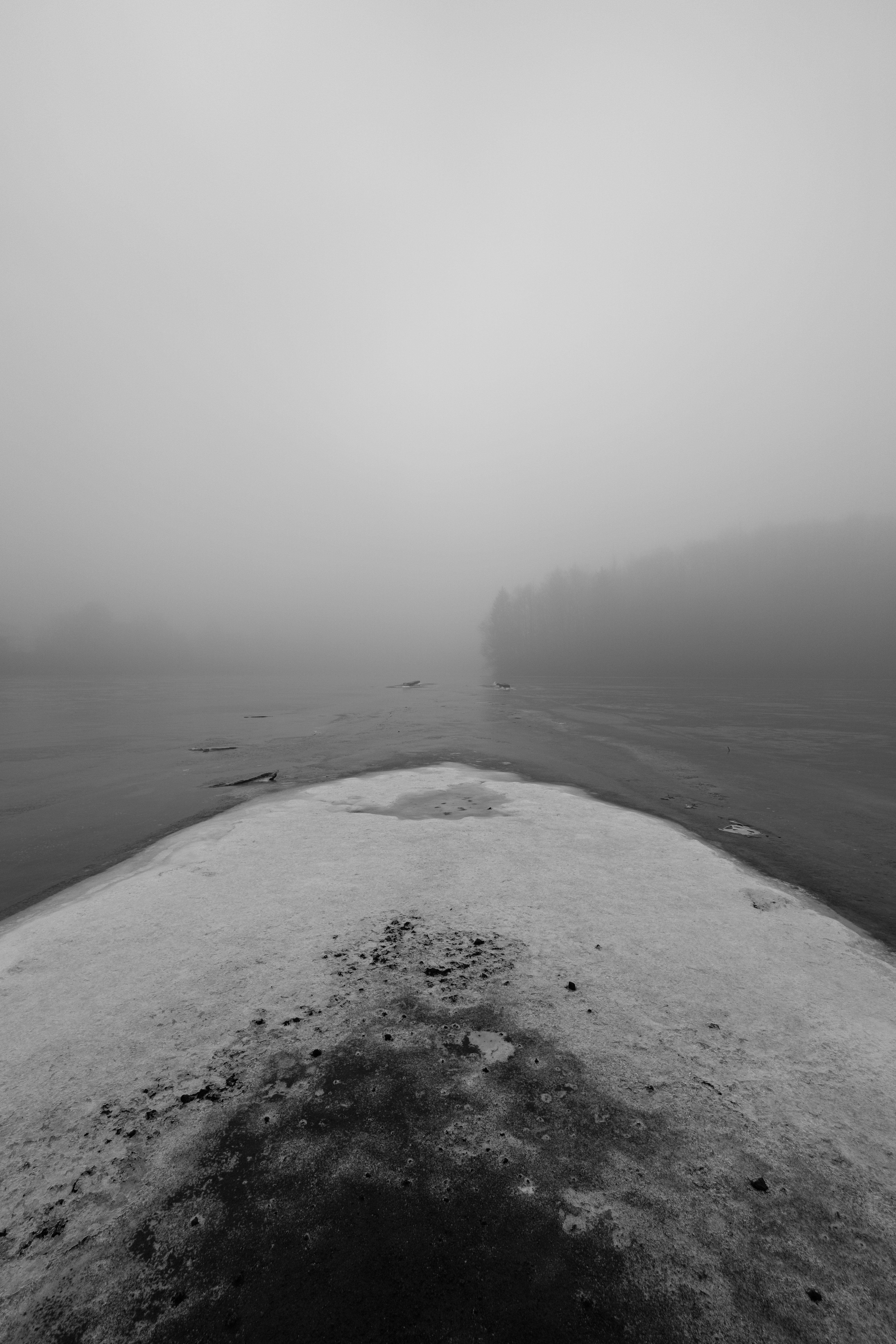 Frozen landscape with fog and distant trees