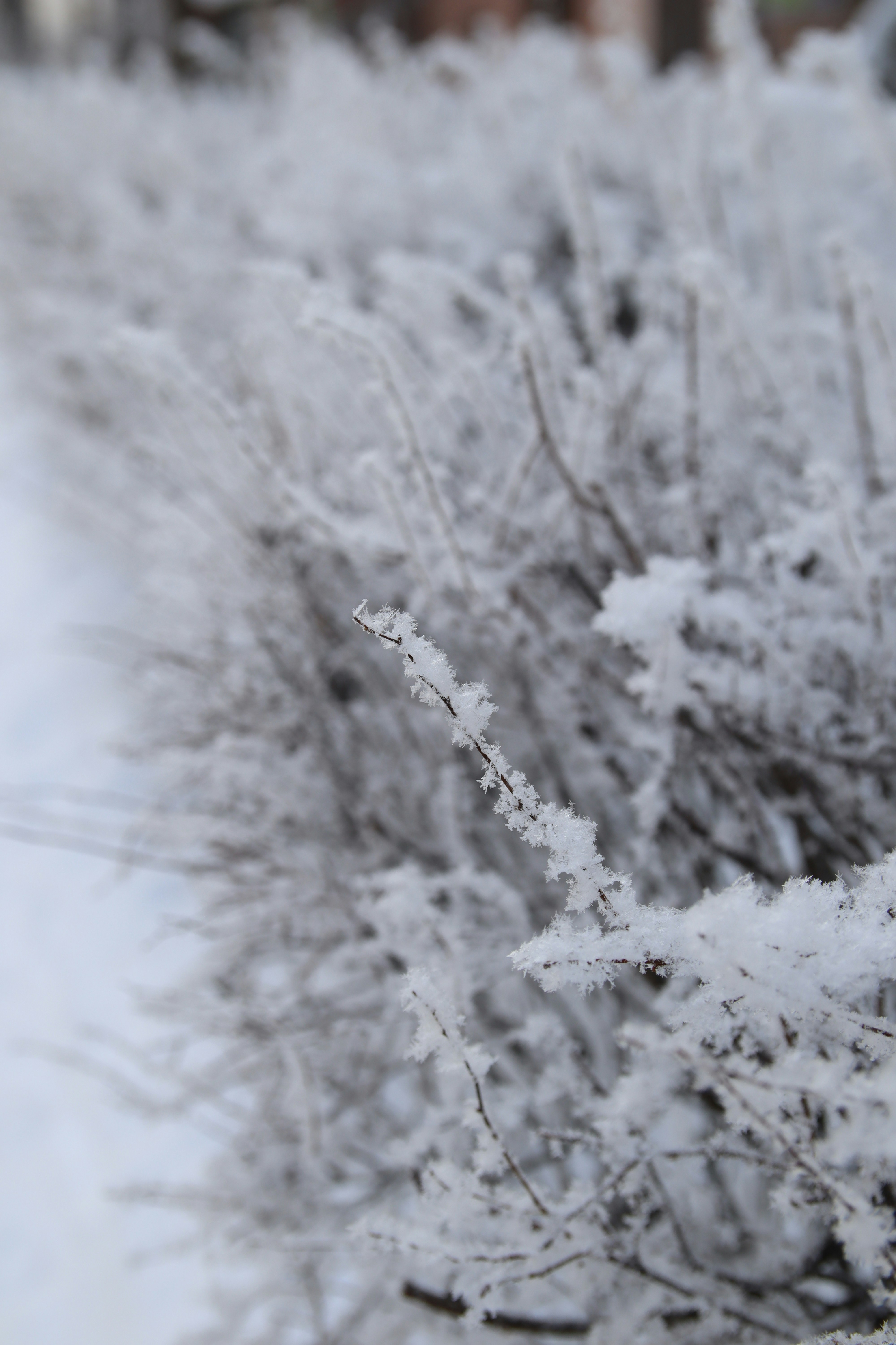 Photo by feeling_hope