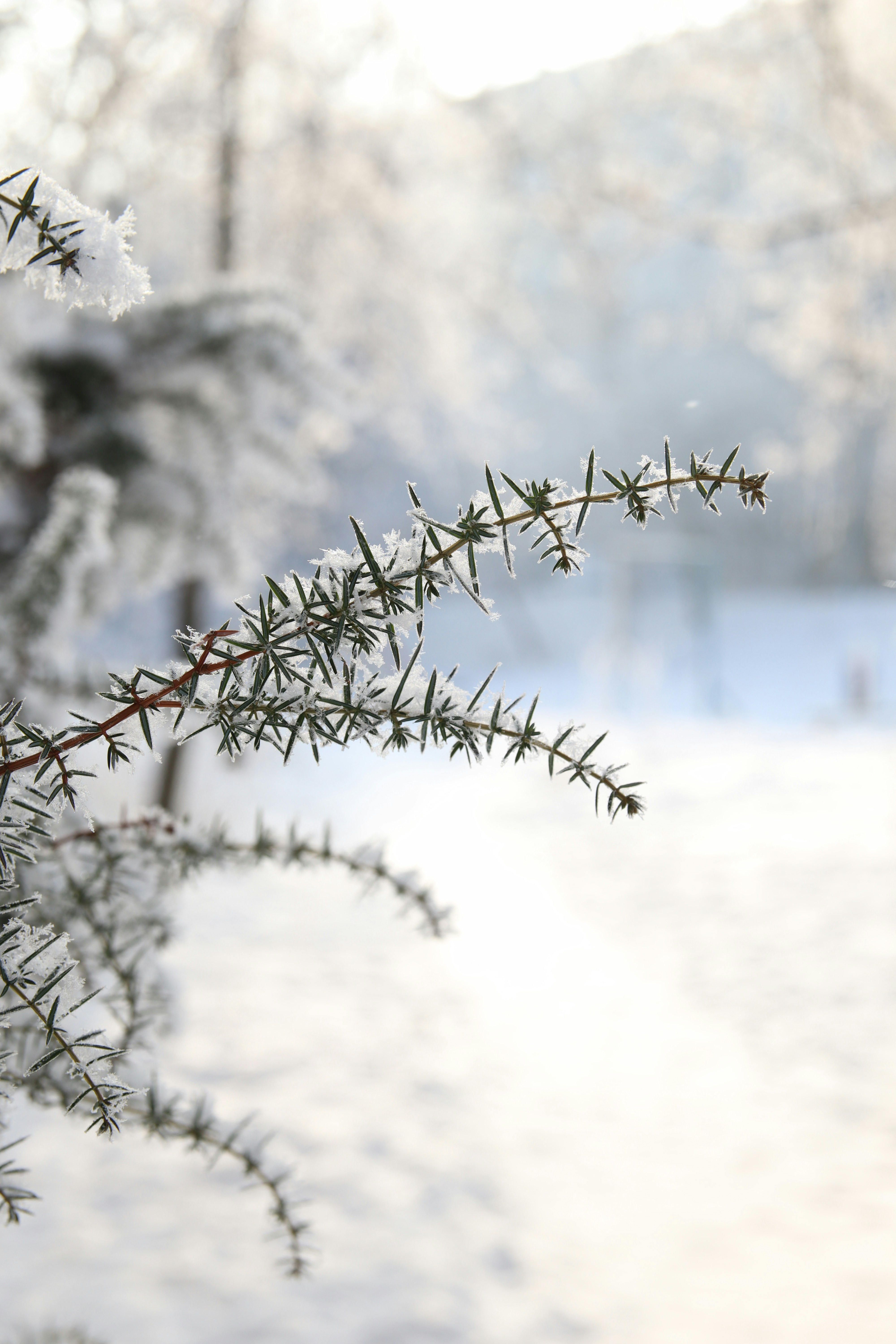 Photo by feeling_hope