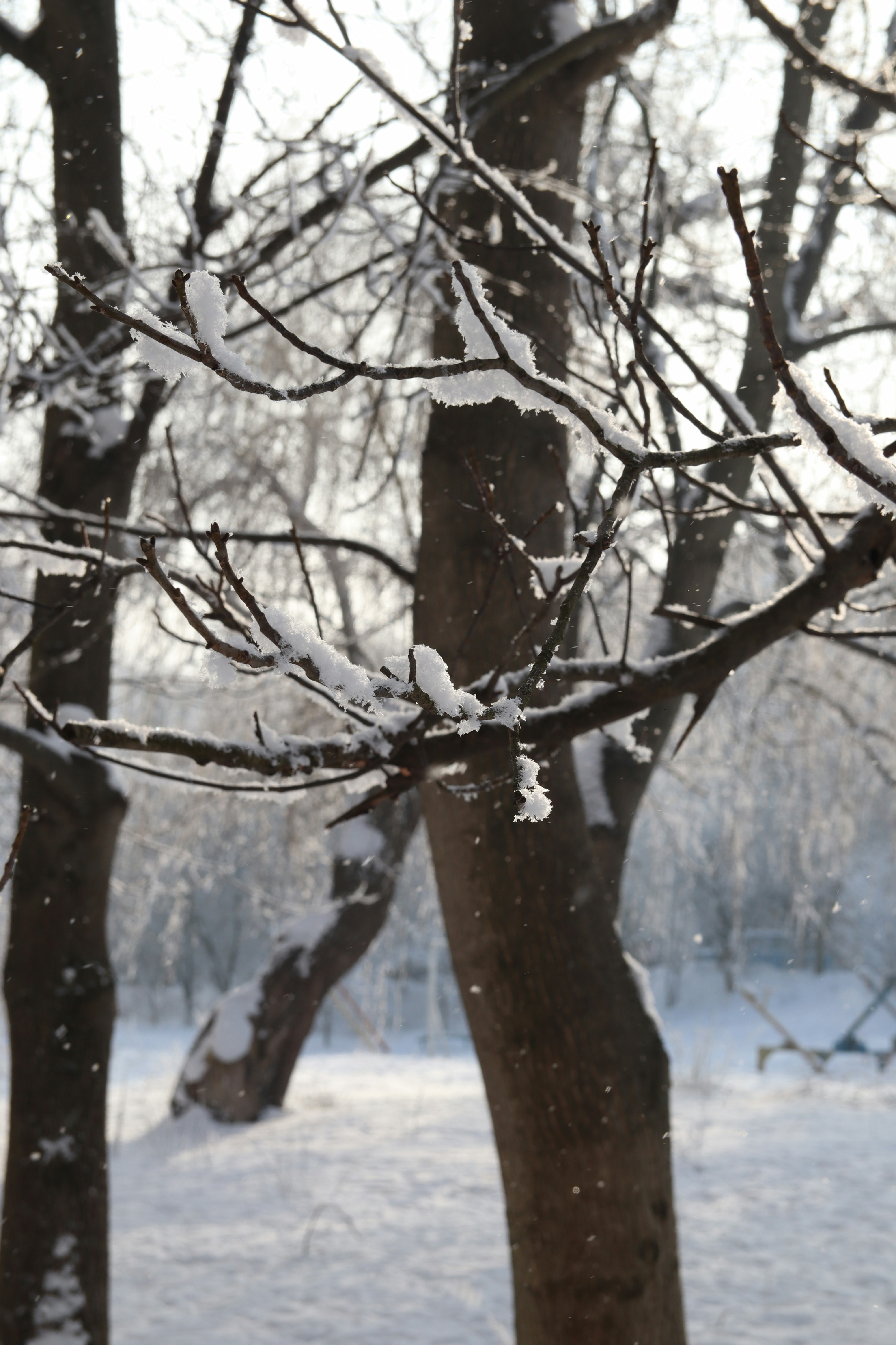 Photo by feeling_hope