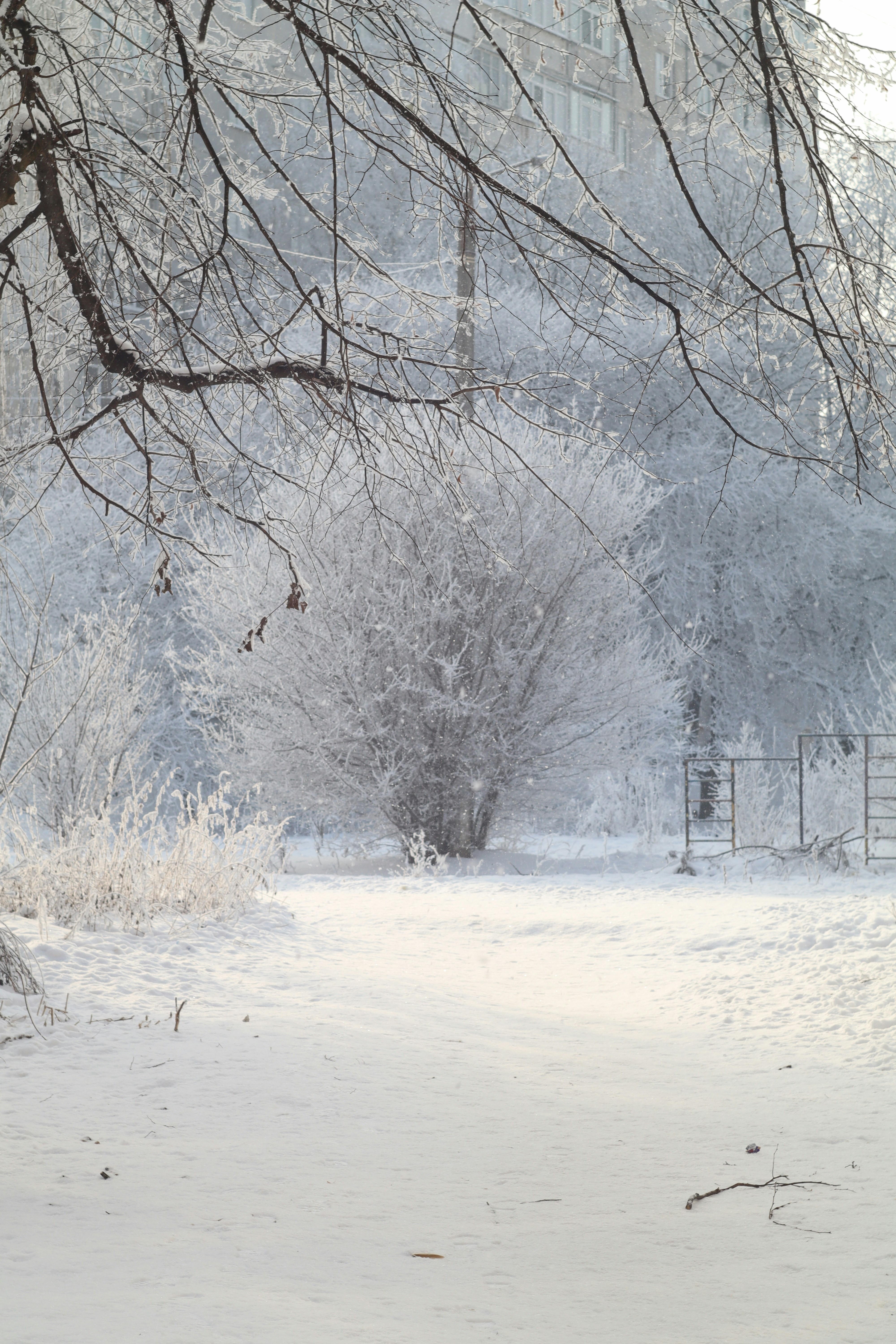 Photo by feeling_hope