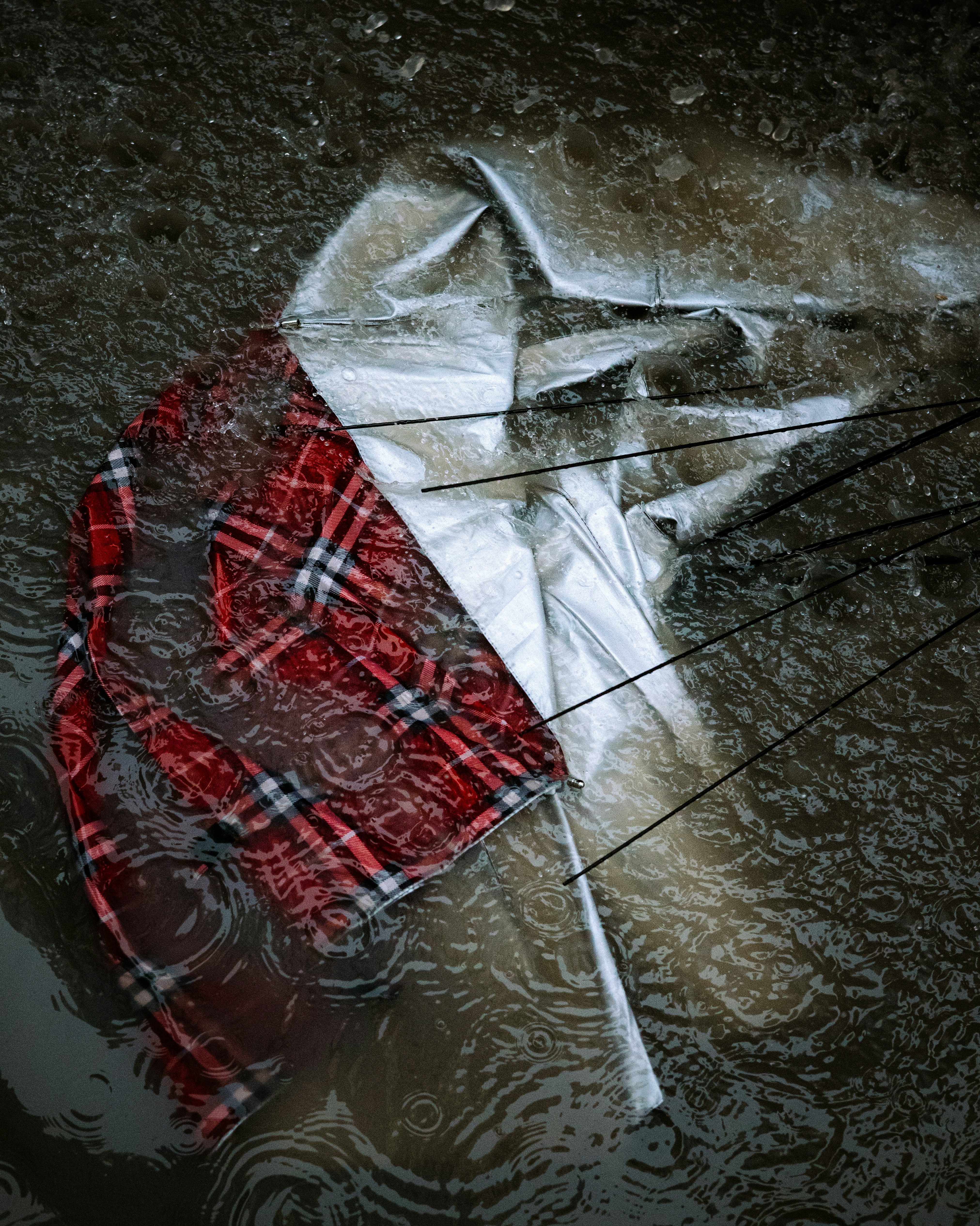 Un paraguas de cuadros rojos yace abierto en aguas turbias.