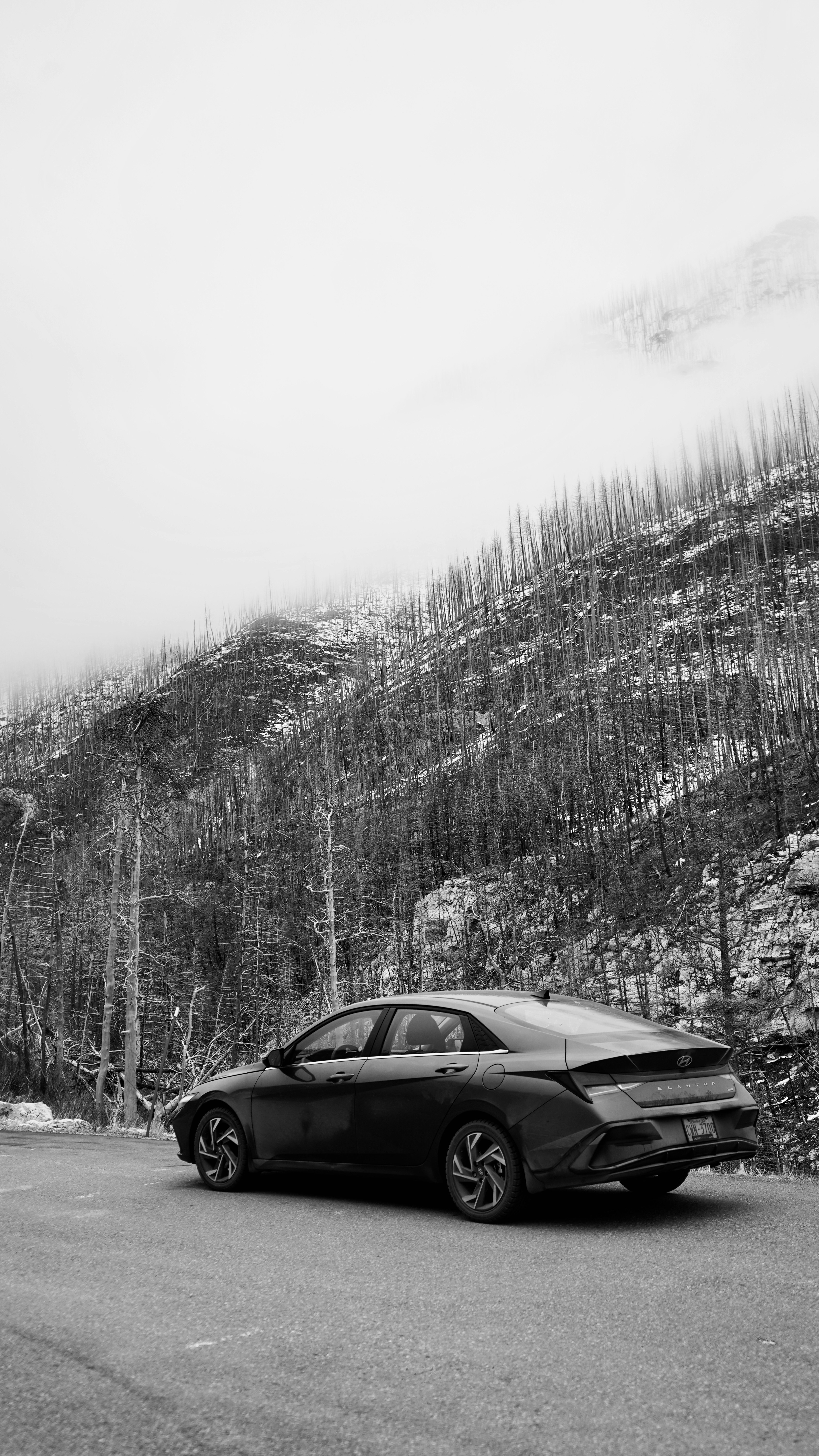 Restoring Resilience