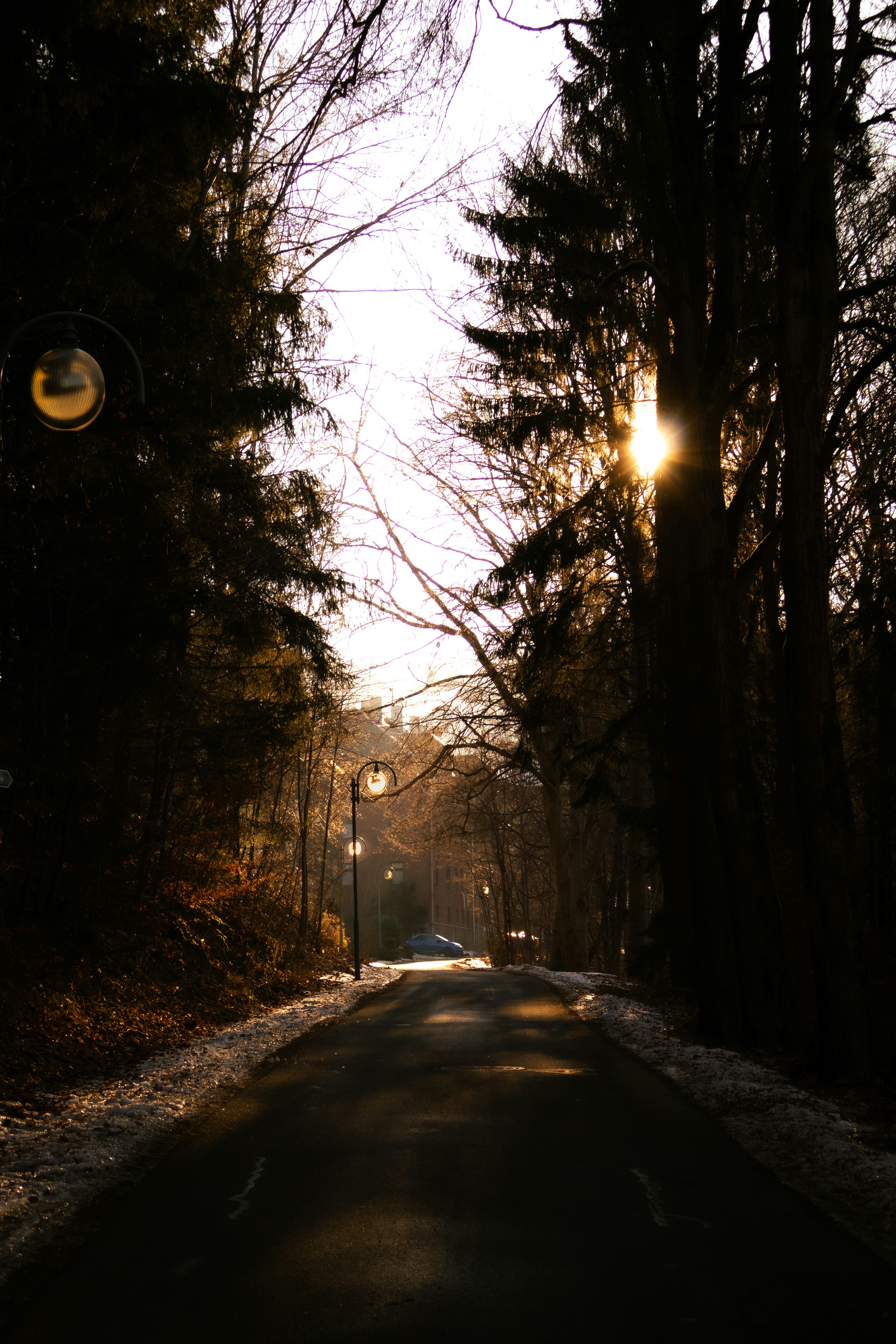 Photo by yunghollows