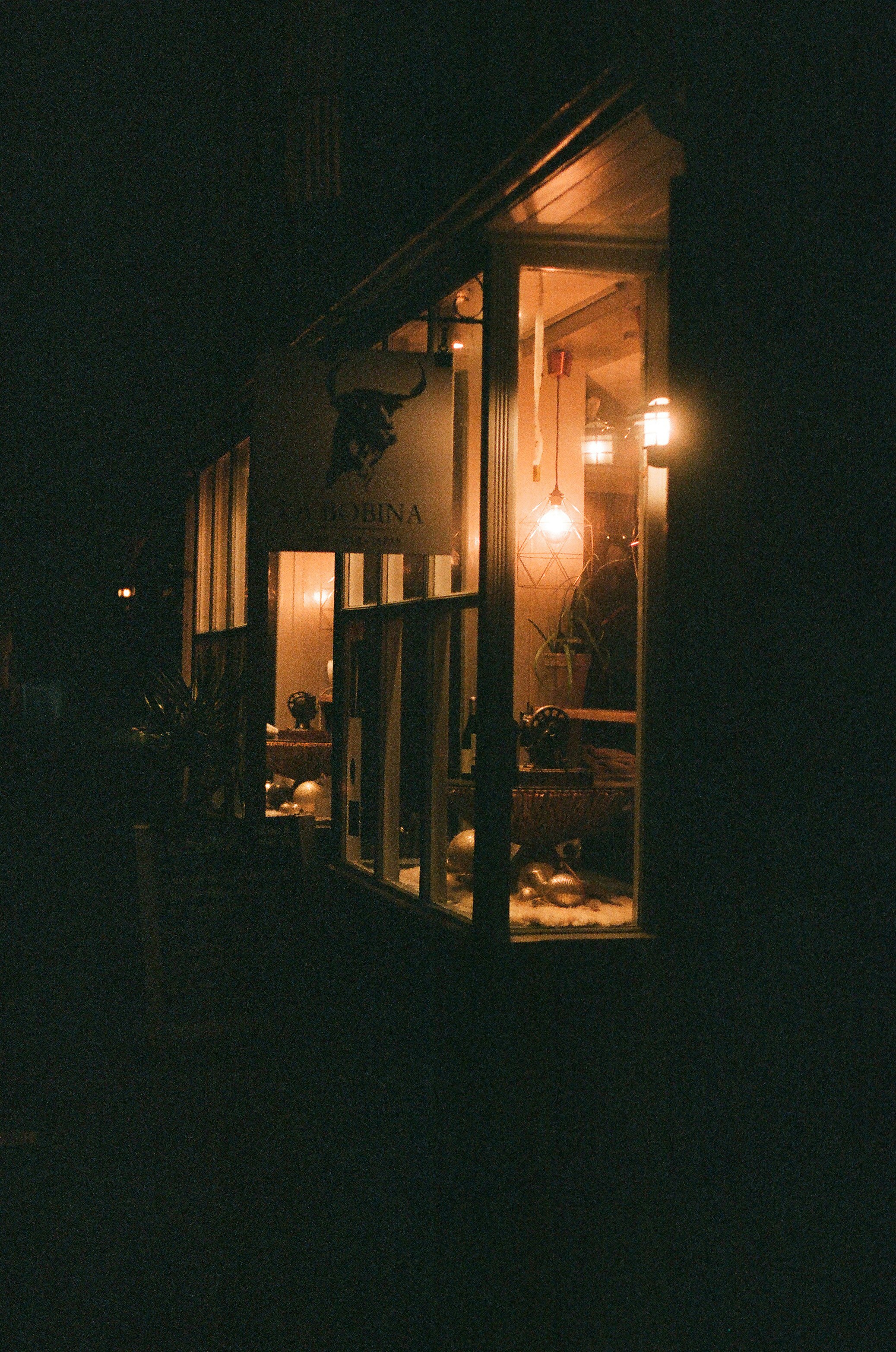 Photo by tanyabarrow