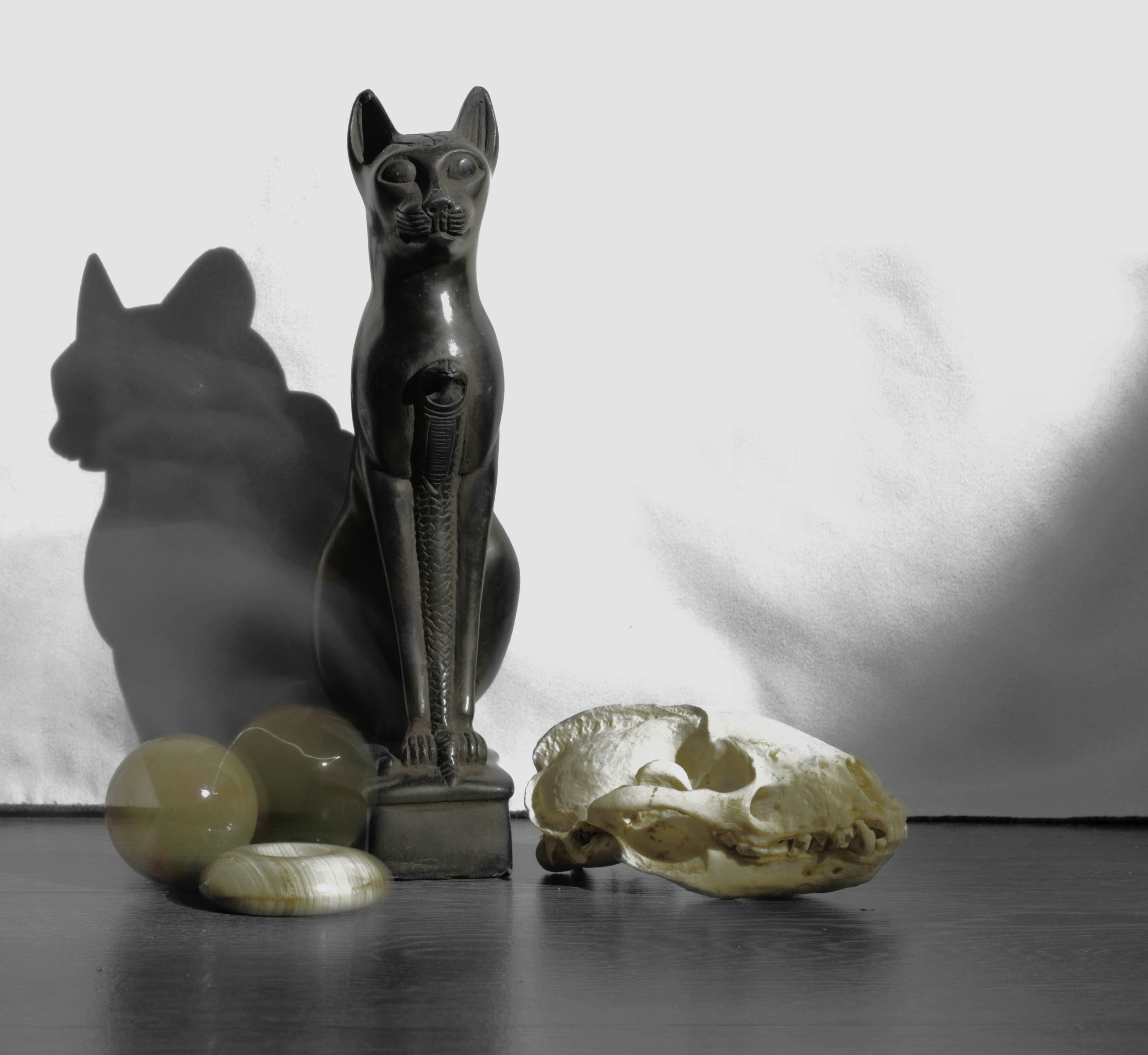 Statue of a cat, marbles, and a skull.