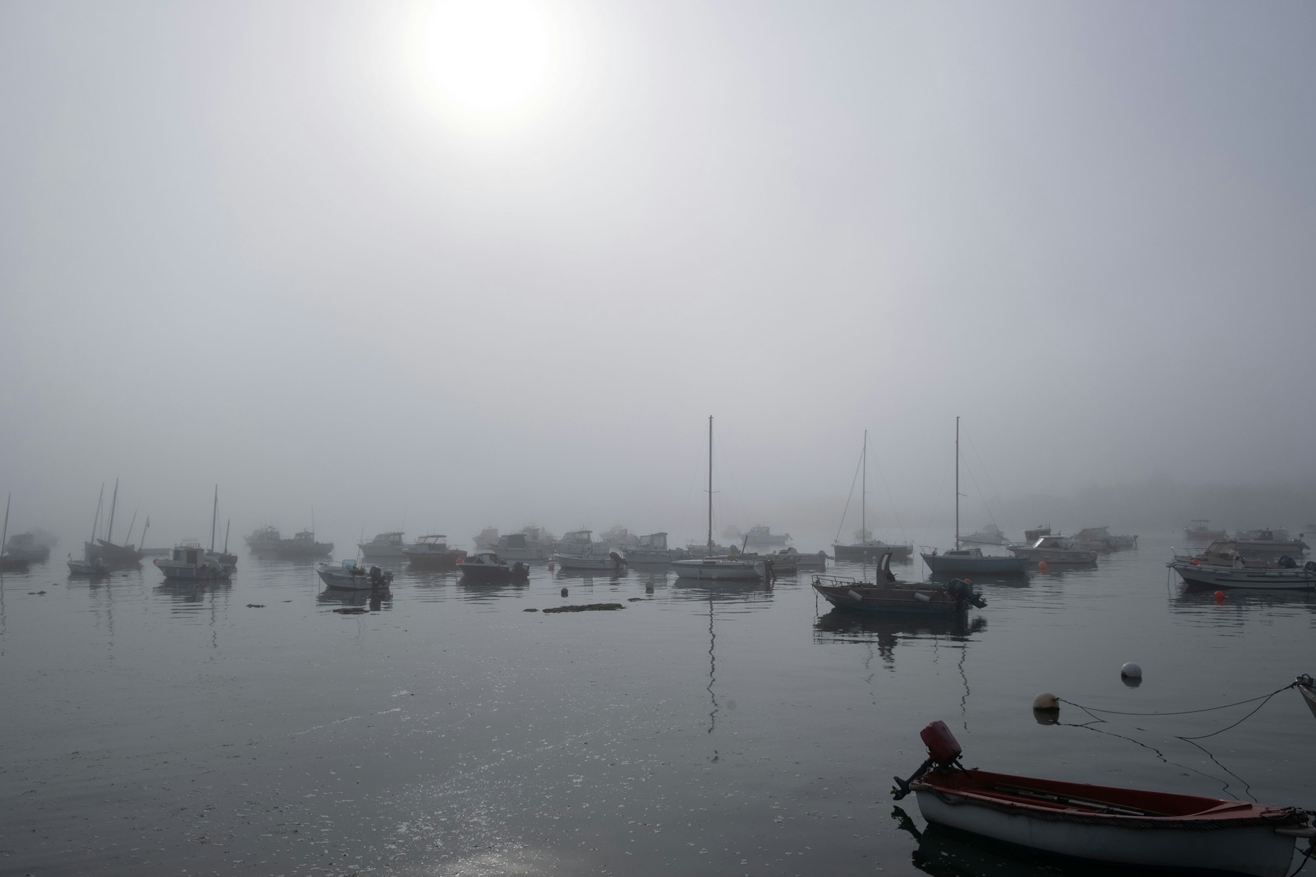 Moored boats resting in a still, fog-softened harbor at first light