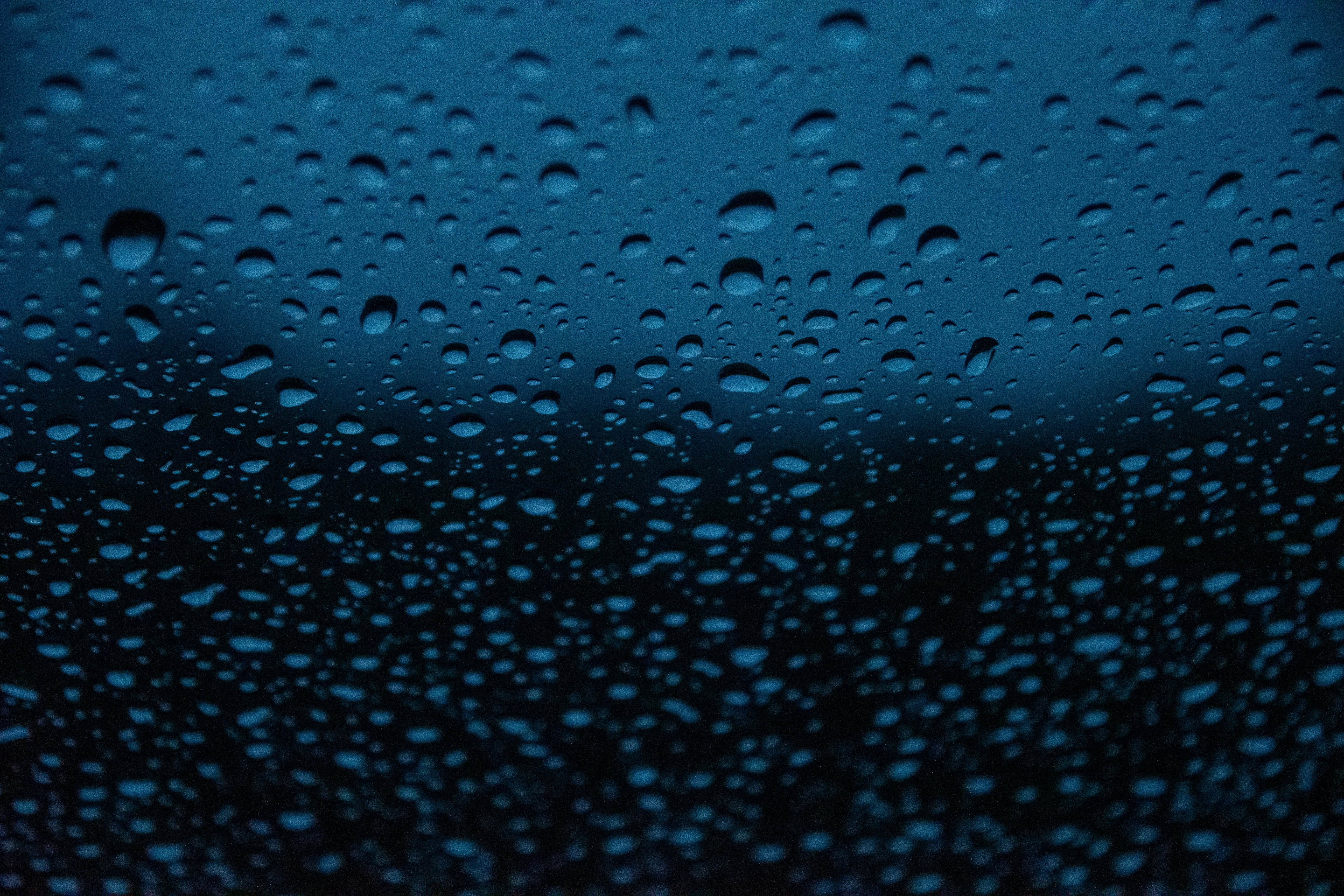 Photo by samson_photography