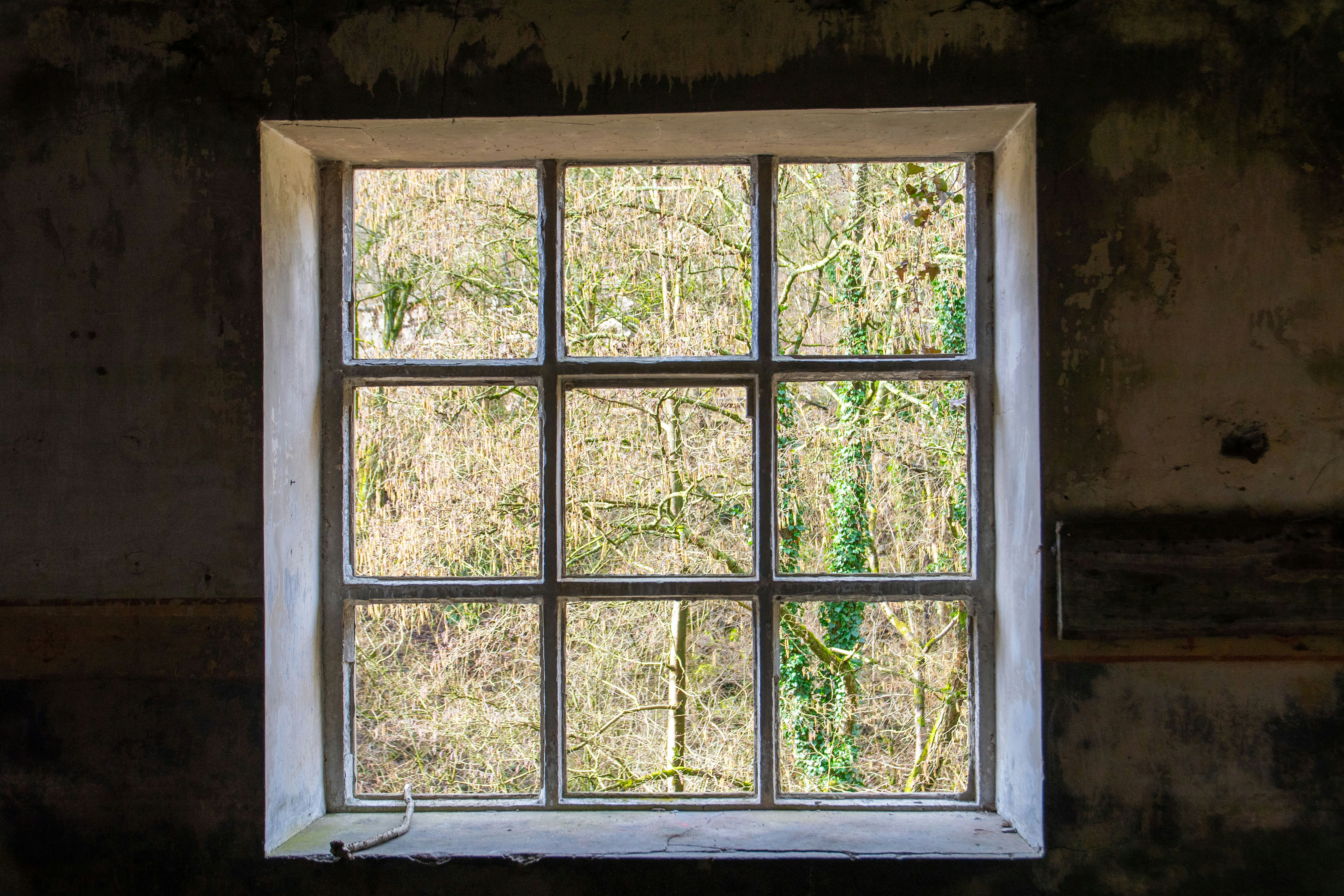 Photo by samson_photography