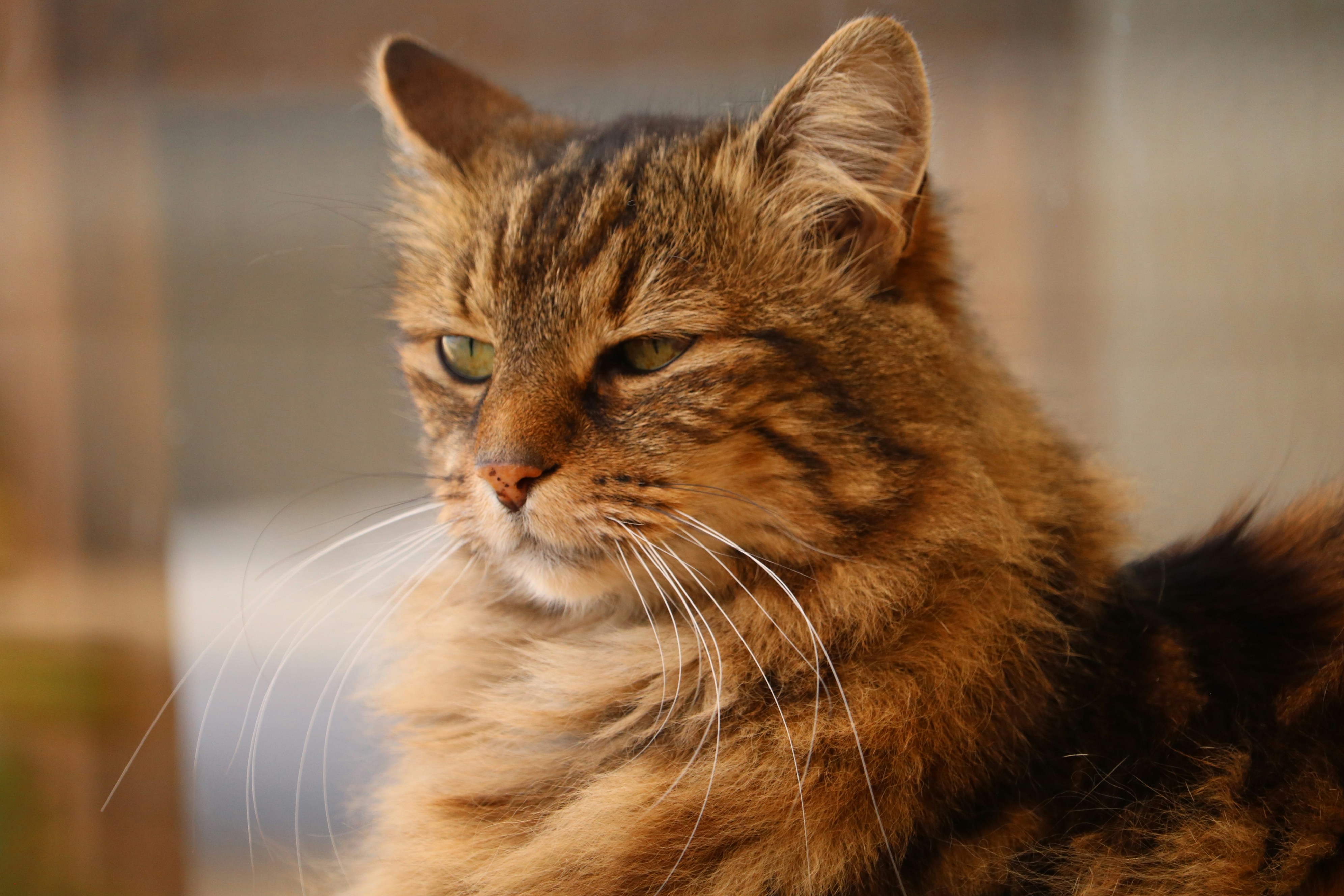 Photo by allysphotos