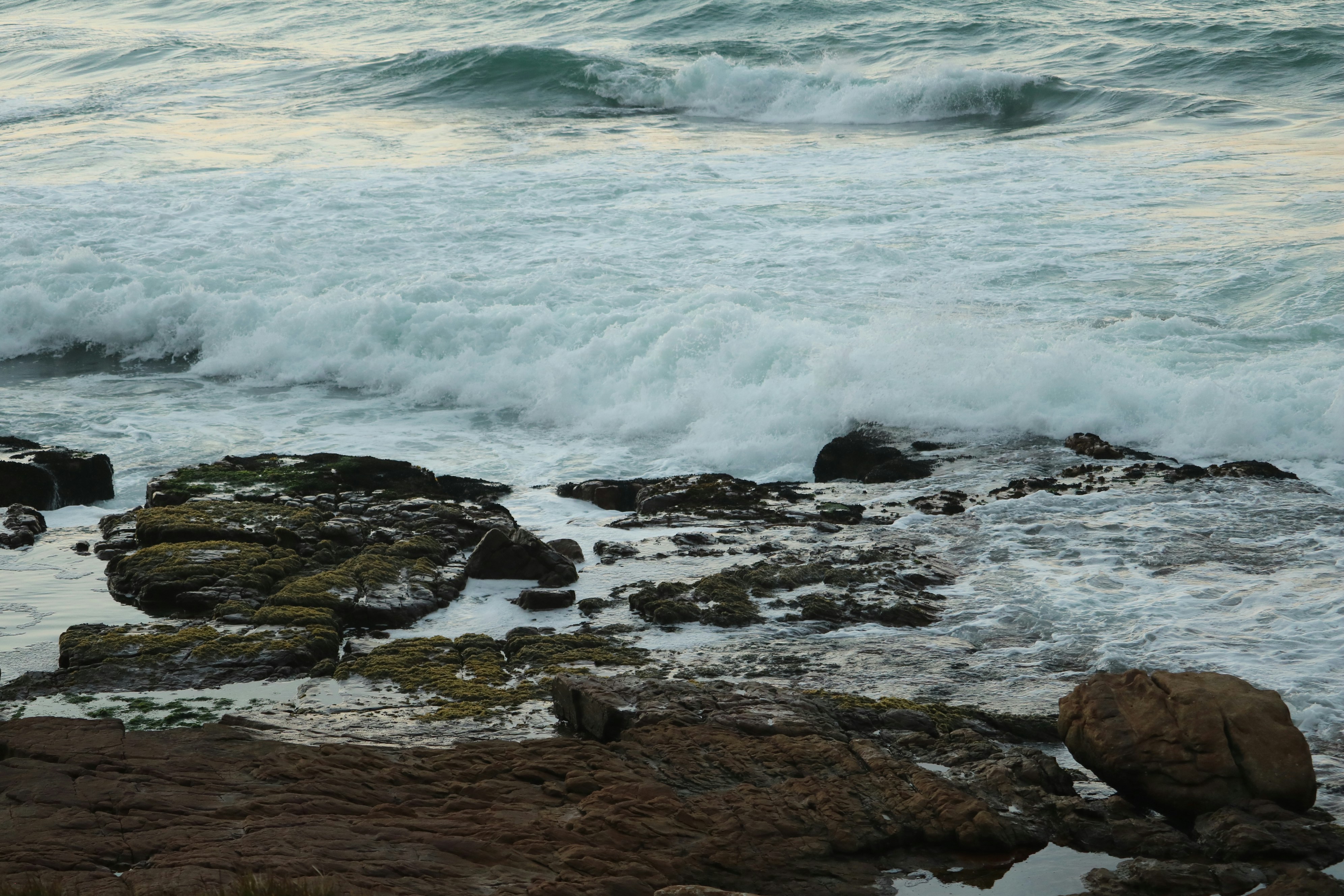 Photo by allysphotos