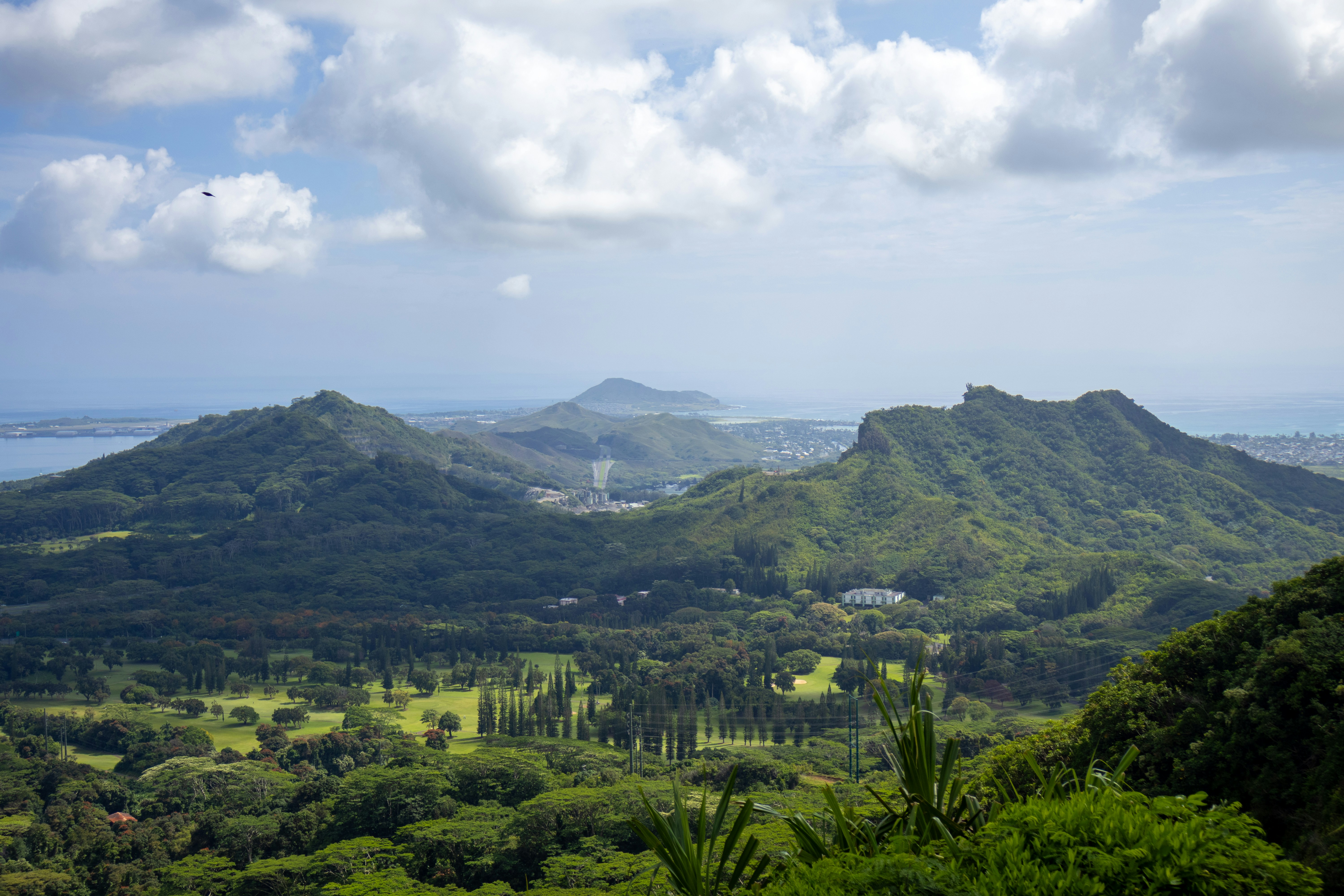 Photo by neugebauerdev